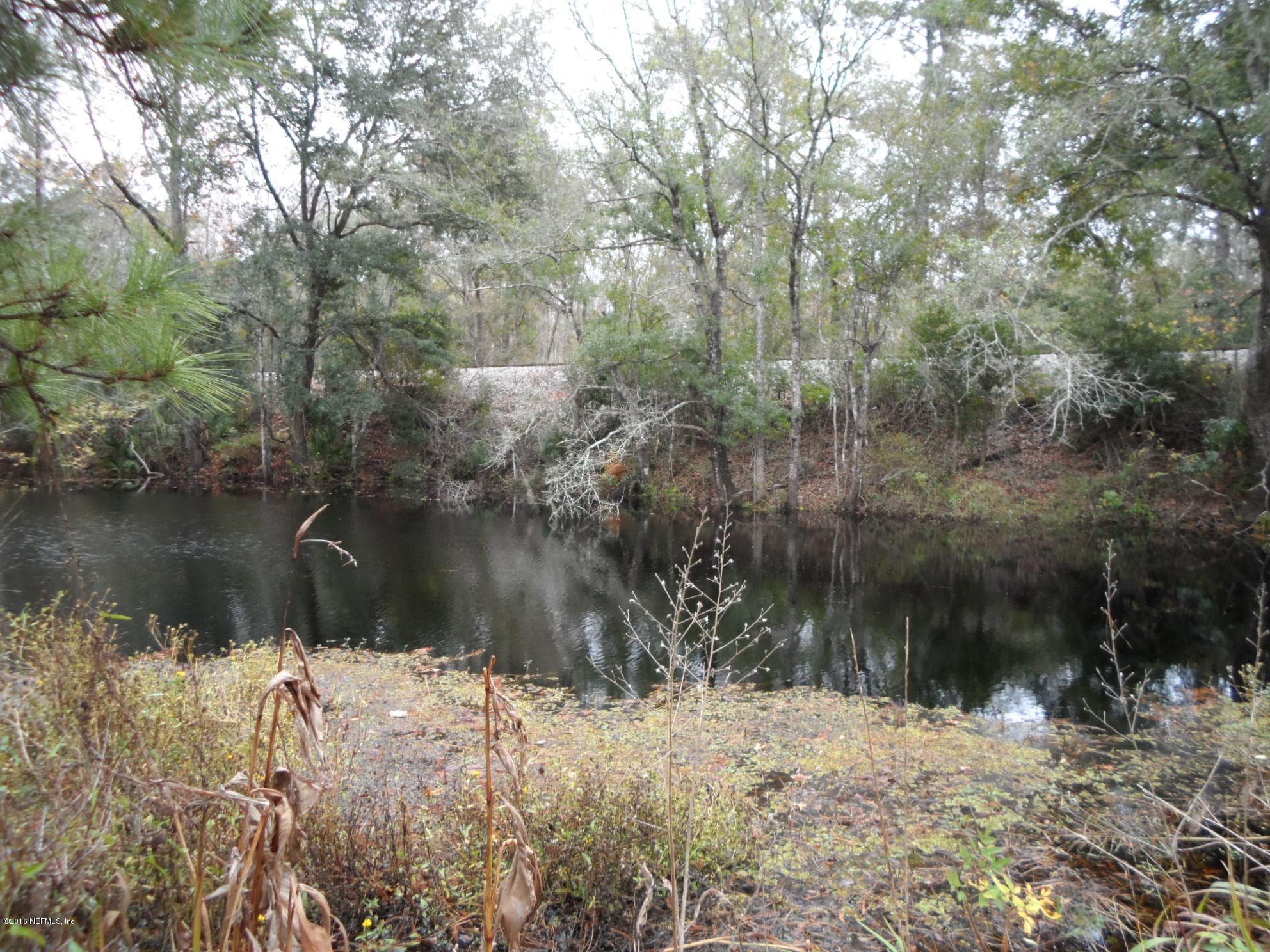 2312 PAGES DAIRY Road, Yulee — photo 2