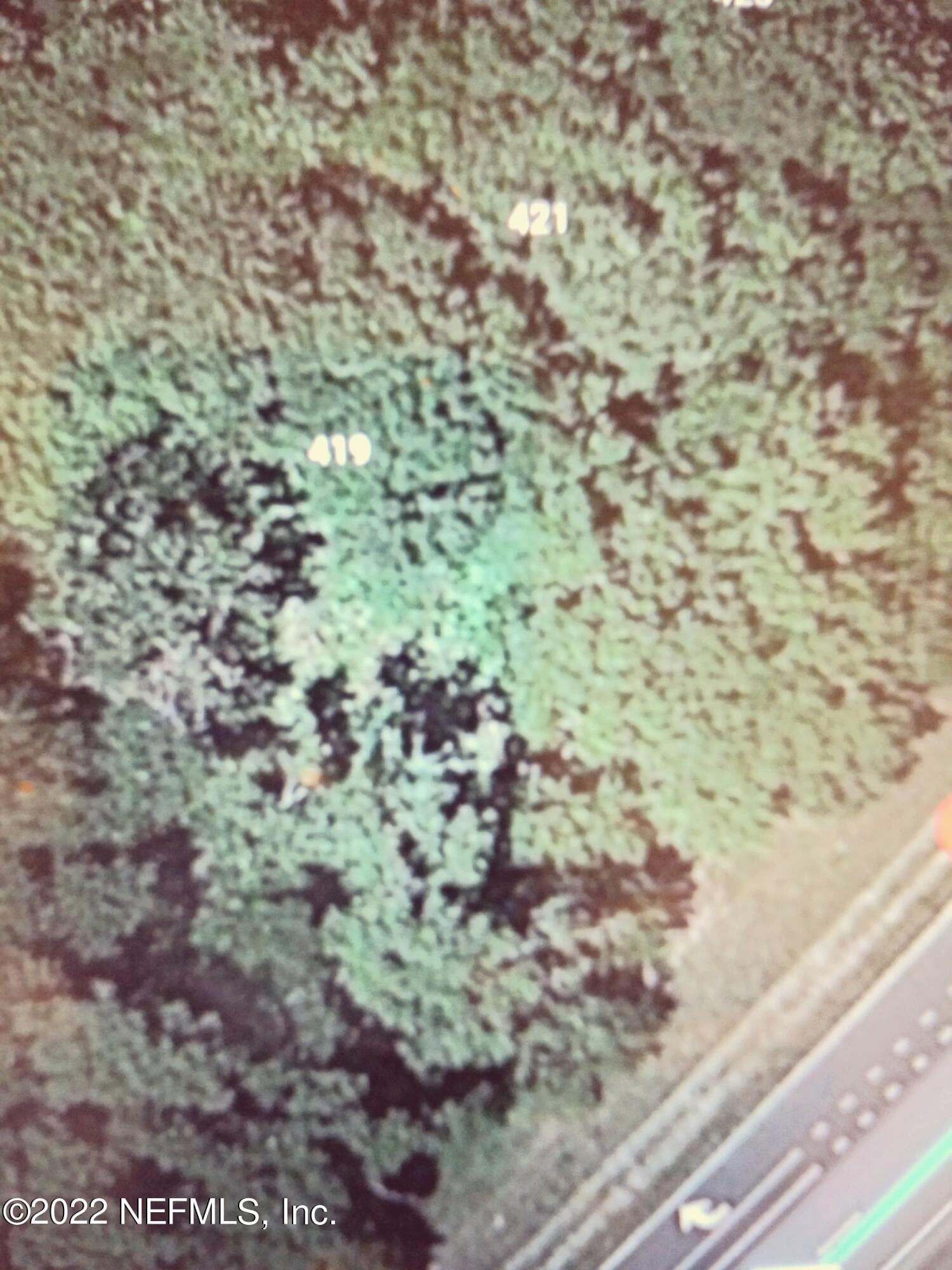419 STATE ROAD 207, East Palatka, FL 32131, East Palatka — photo 2
