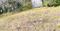 419 STATE ROAD 207, East Palatka, FL 32131, East Palatka — exterior