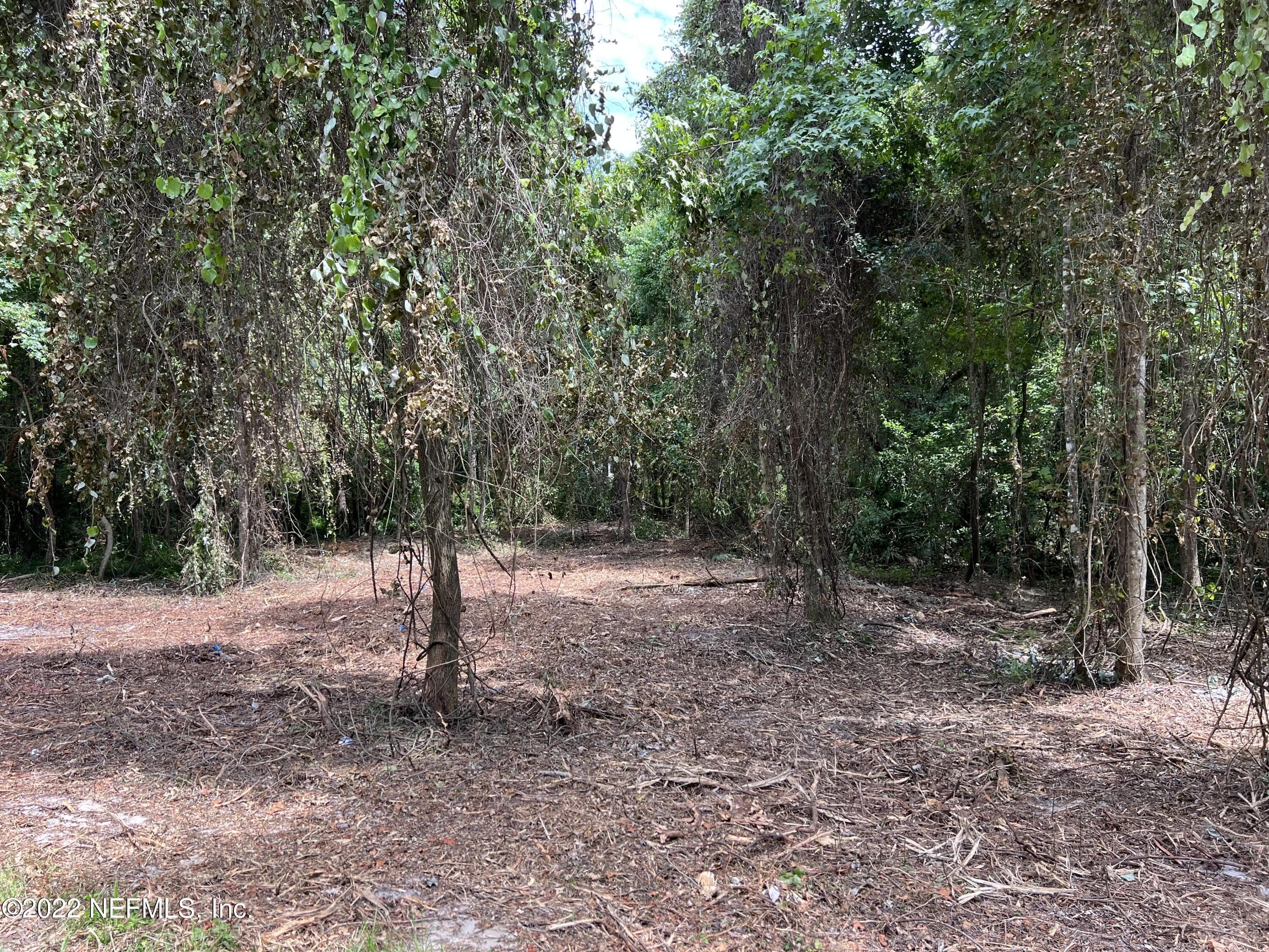 4070 HONEYSUCKLE Circle, Middleburg, FL 32068, Middleburg — photo 2