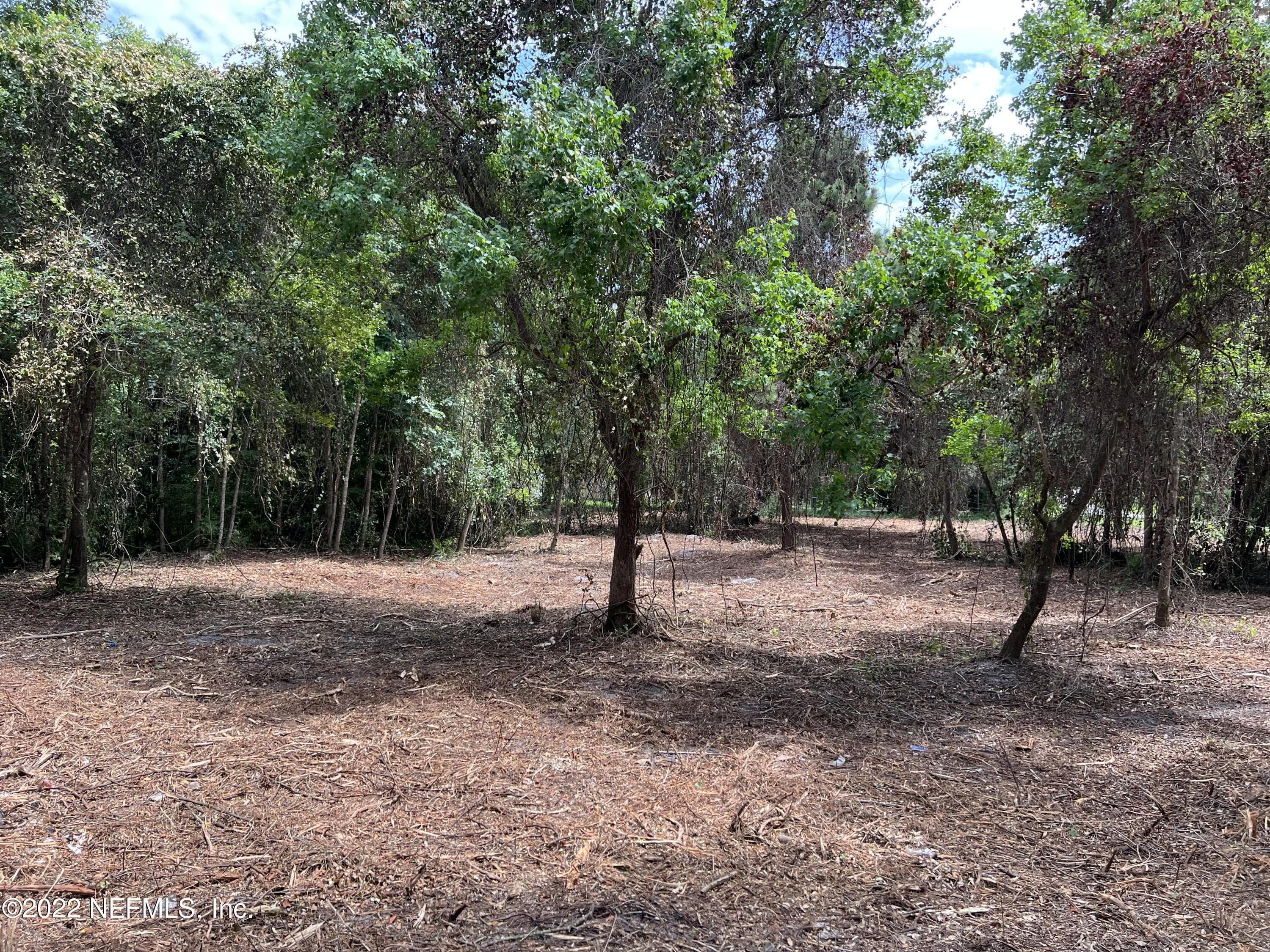 4070 HONEYSUCKLE Circle, Middleburg, FL 32068, Middleburg — photo 3