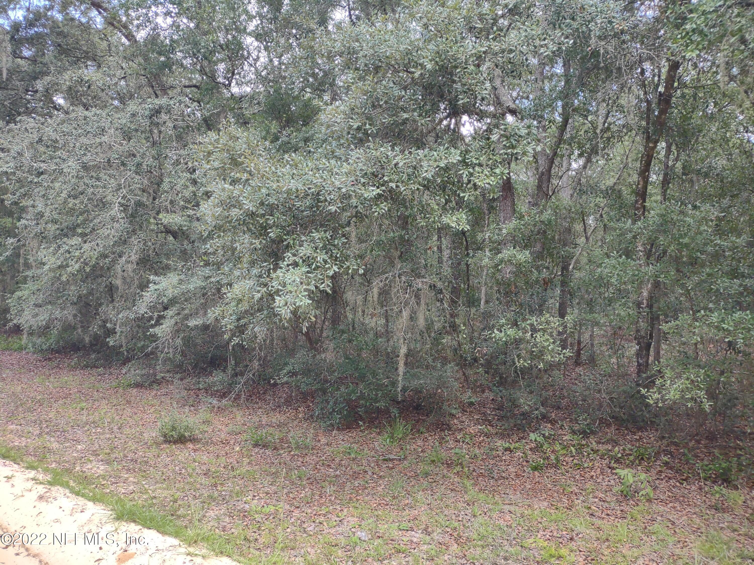 0040 BRETT Avenue, Interlachen — photo 2