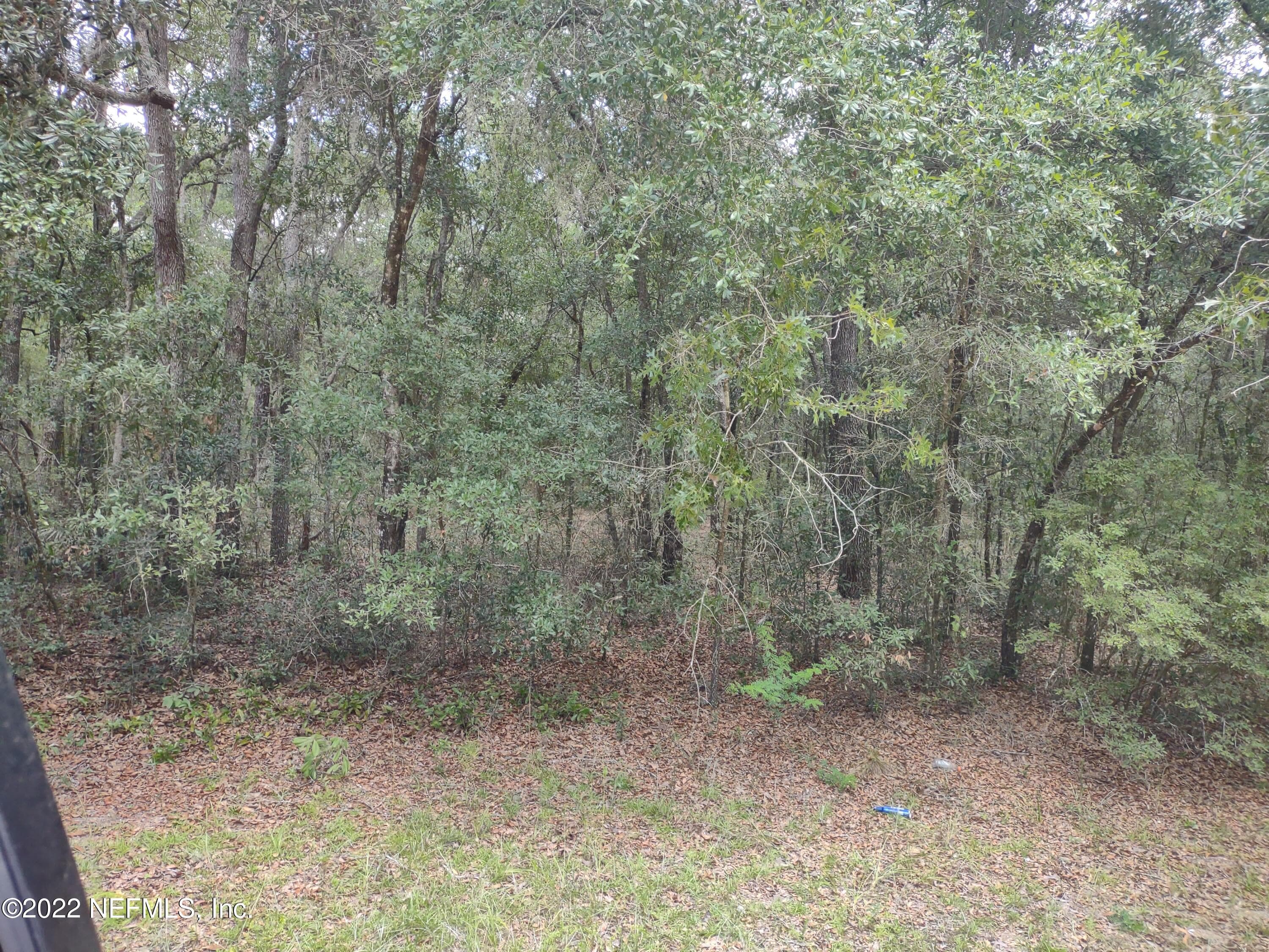0040 BRETT Avenue, Interlachen — photo 3