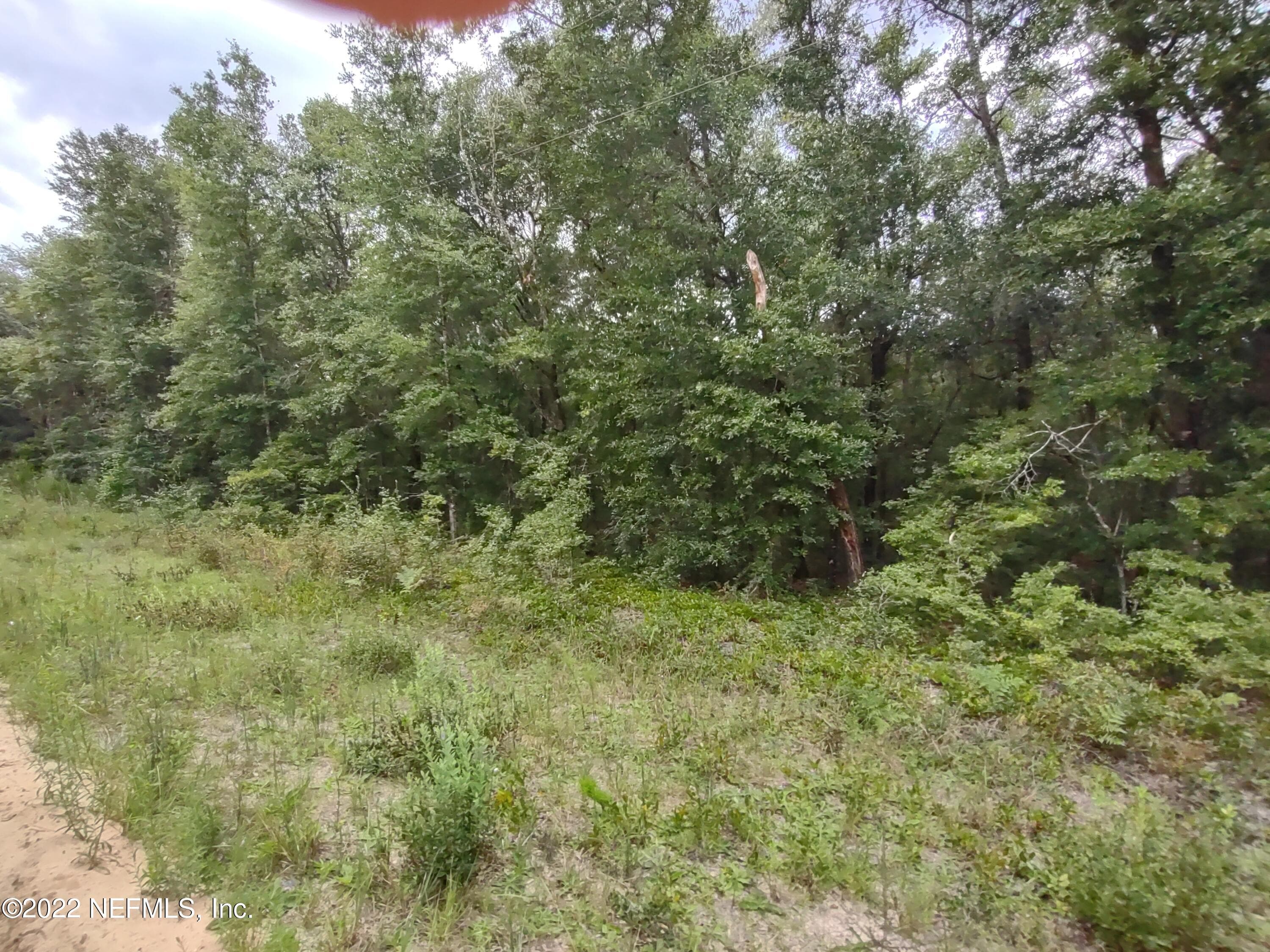 24 NEILSEN Avenue, Interlachen, FL 32148, Interlachen — exterior