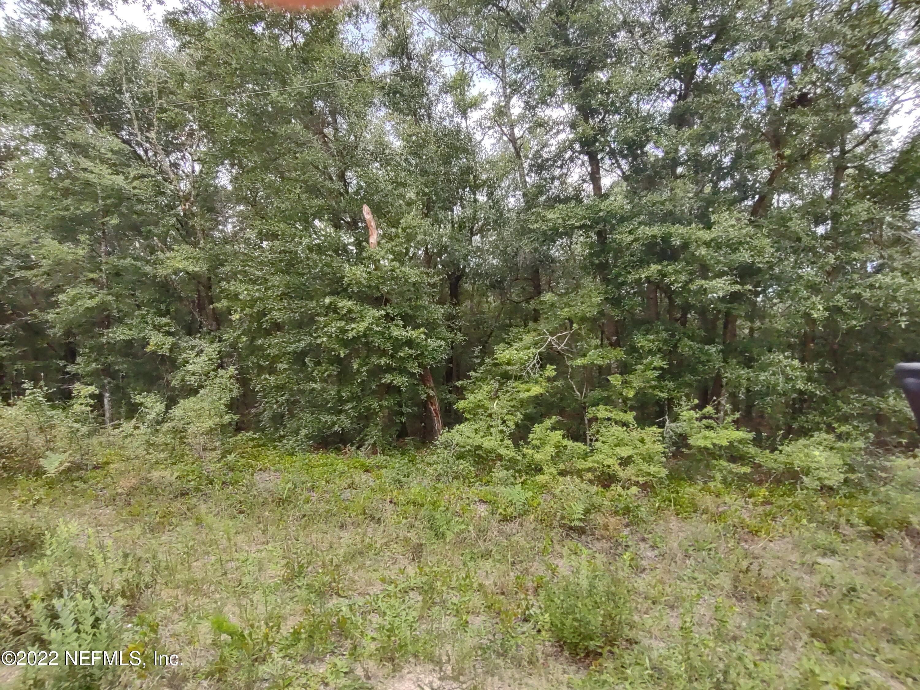24 NEILSEN Avenue, Interlachen, FL 32148, Interlachen — photo 2