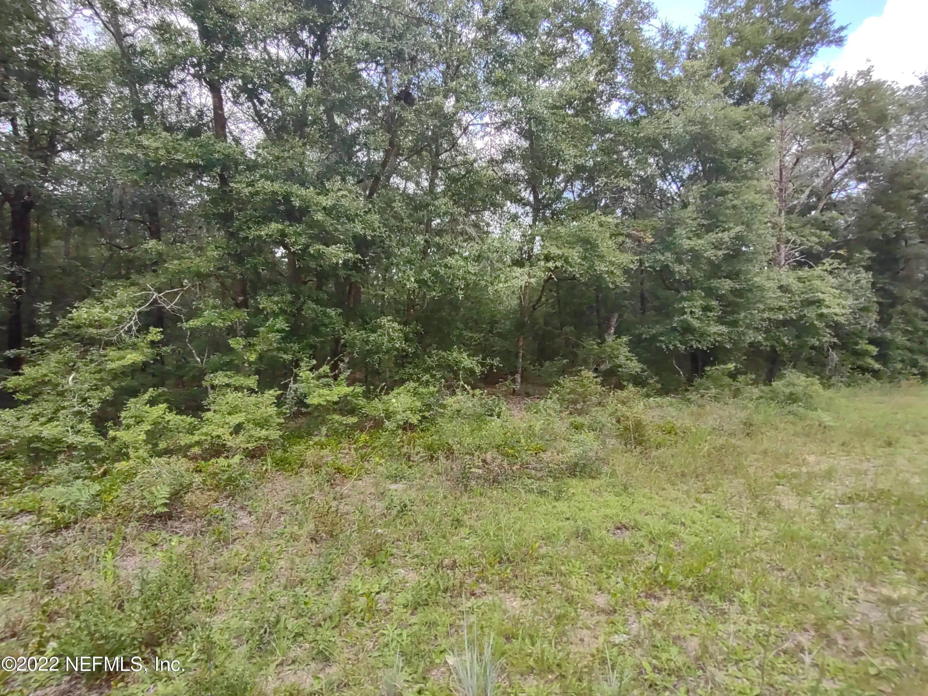 24 NEILSEN Avenue, Interlachen, FL 32148, Interlachen — photo 3