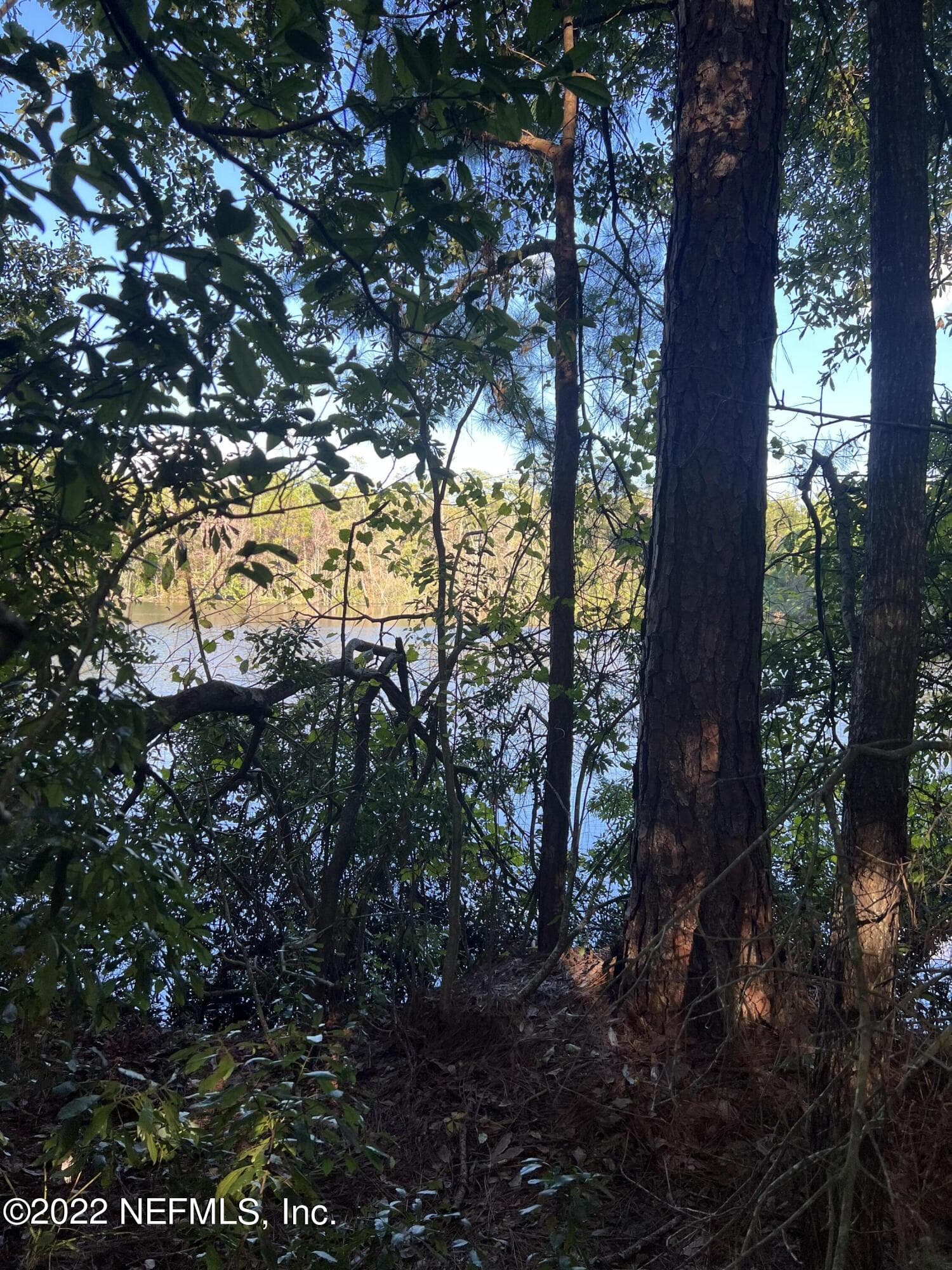 0 LOLA Drive, Jacksonville, FL 32210, Jacksonville — exterior