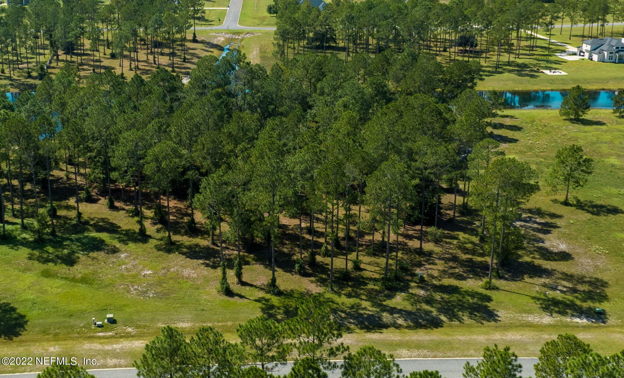 11018 DERBY CHASE Court, Jacksonville — photo 2