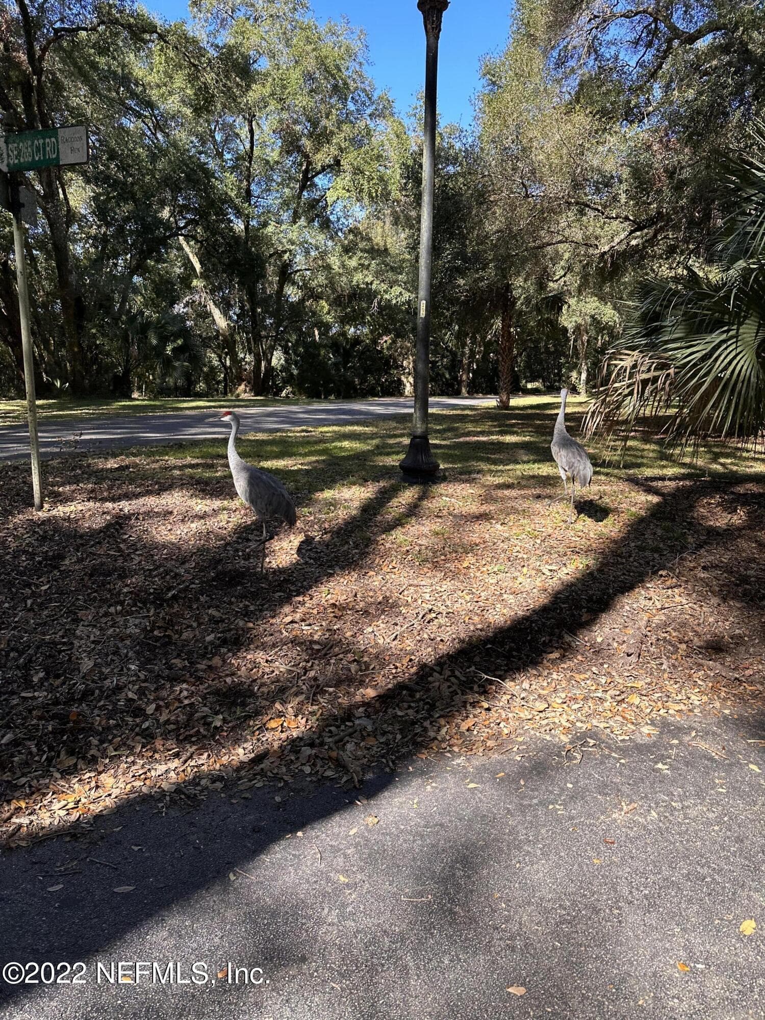 00-08 SE 265TH COURT Road, Umatilla, FL 32784, Umatilla — photo 3