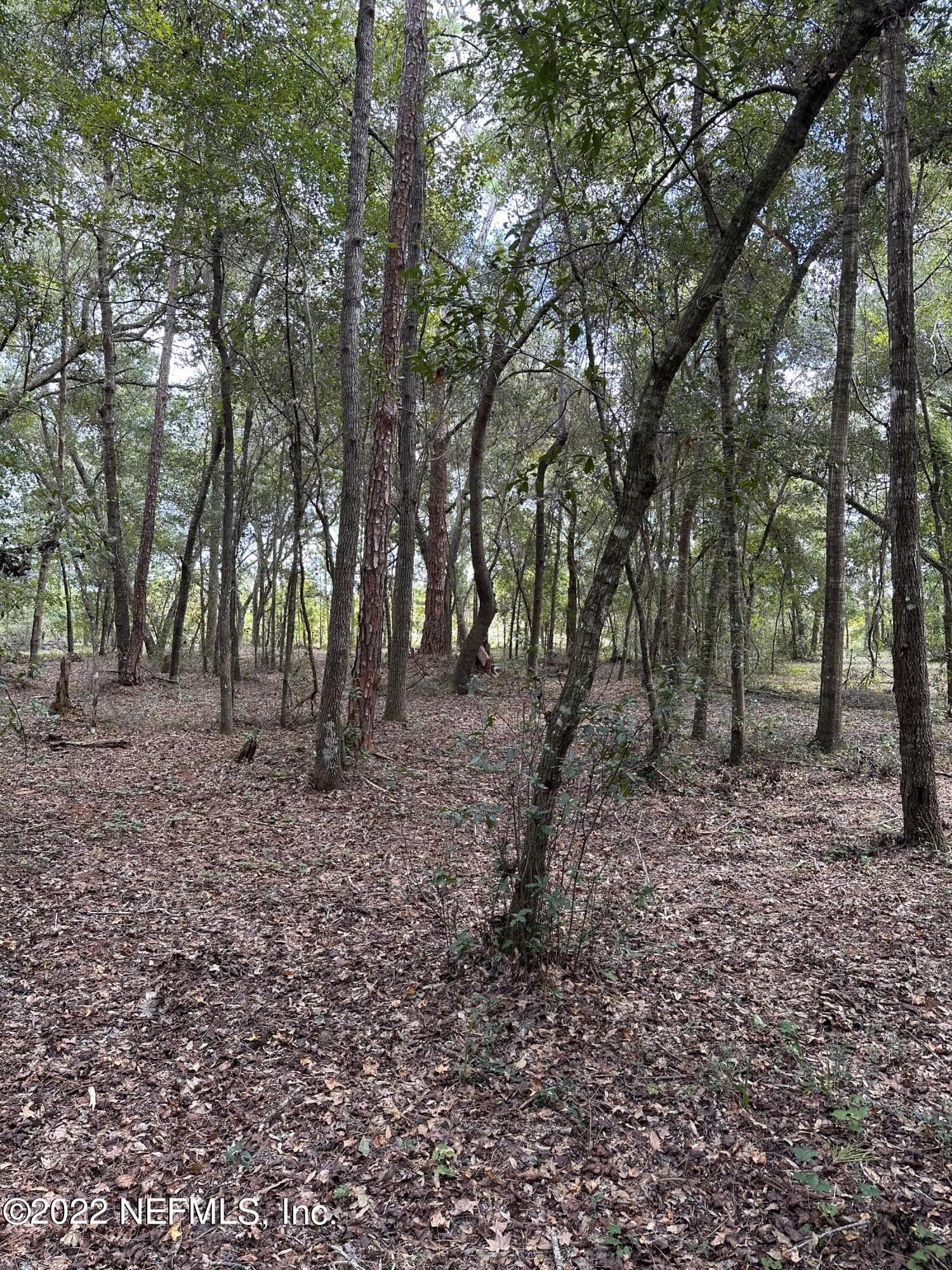 00-13 SE 265TH COURT Road, Umatilla, FL 32784, Umatilla — photo 2