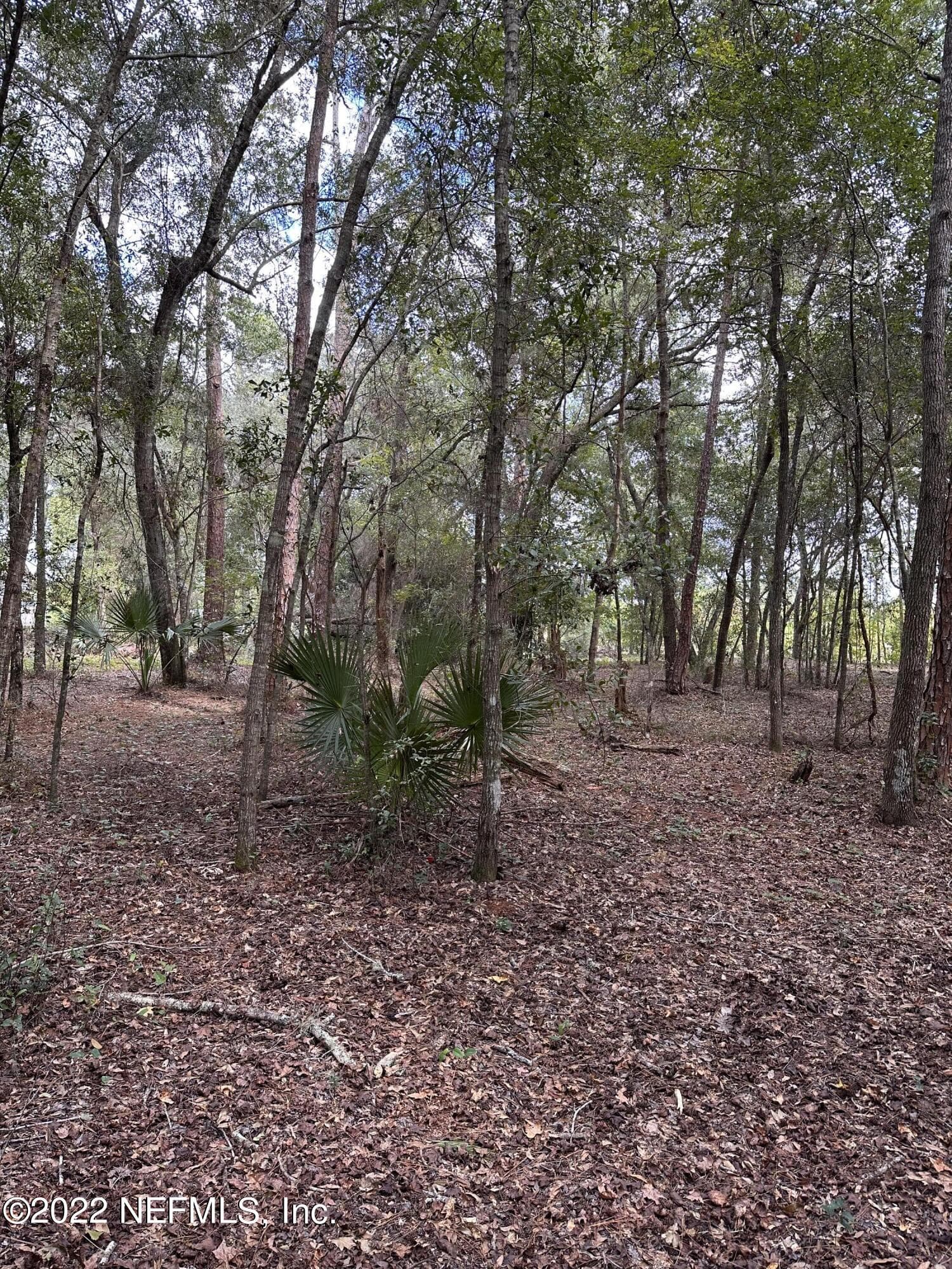 00-13 SE 265TH COURT Road, Umatilla, FL 32784, Umatilla — photo 3