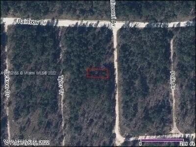 211-215 MISSOURI Avenue, Hawthorne, FL 32640, Hawthorne — photo 2