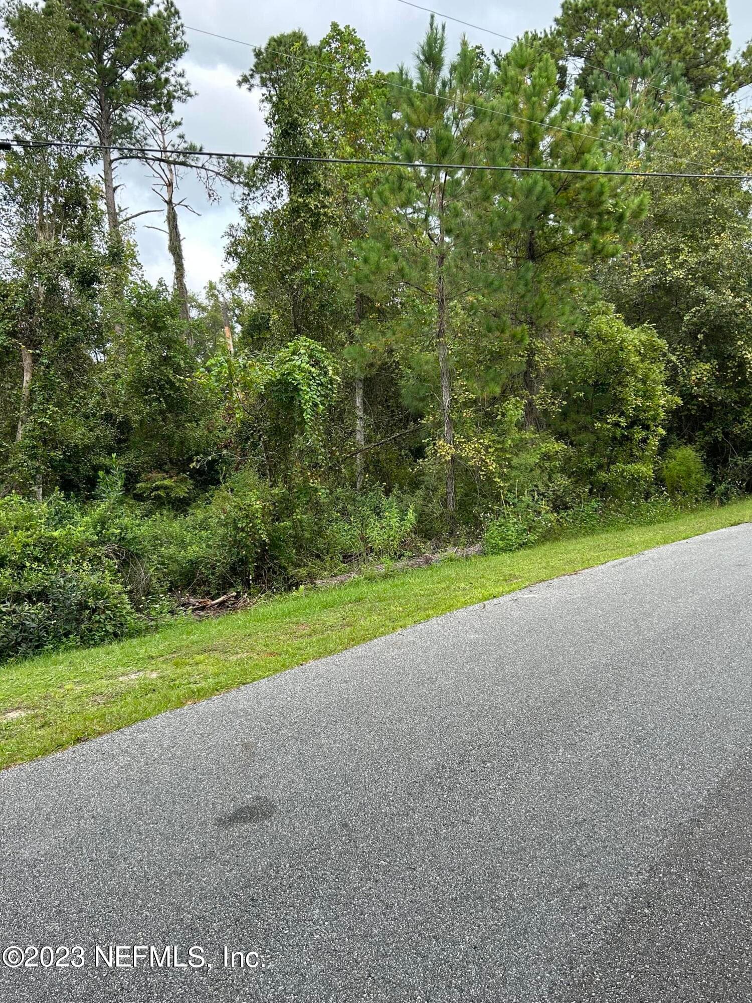 4431 TARRAGON Avenue, Middleburg, FL 32068, Middleburg — photo 2