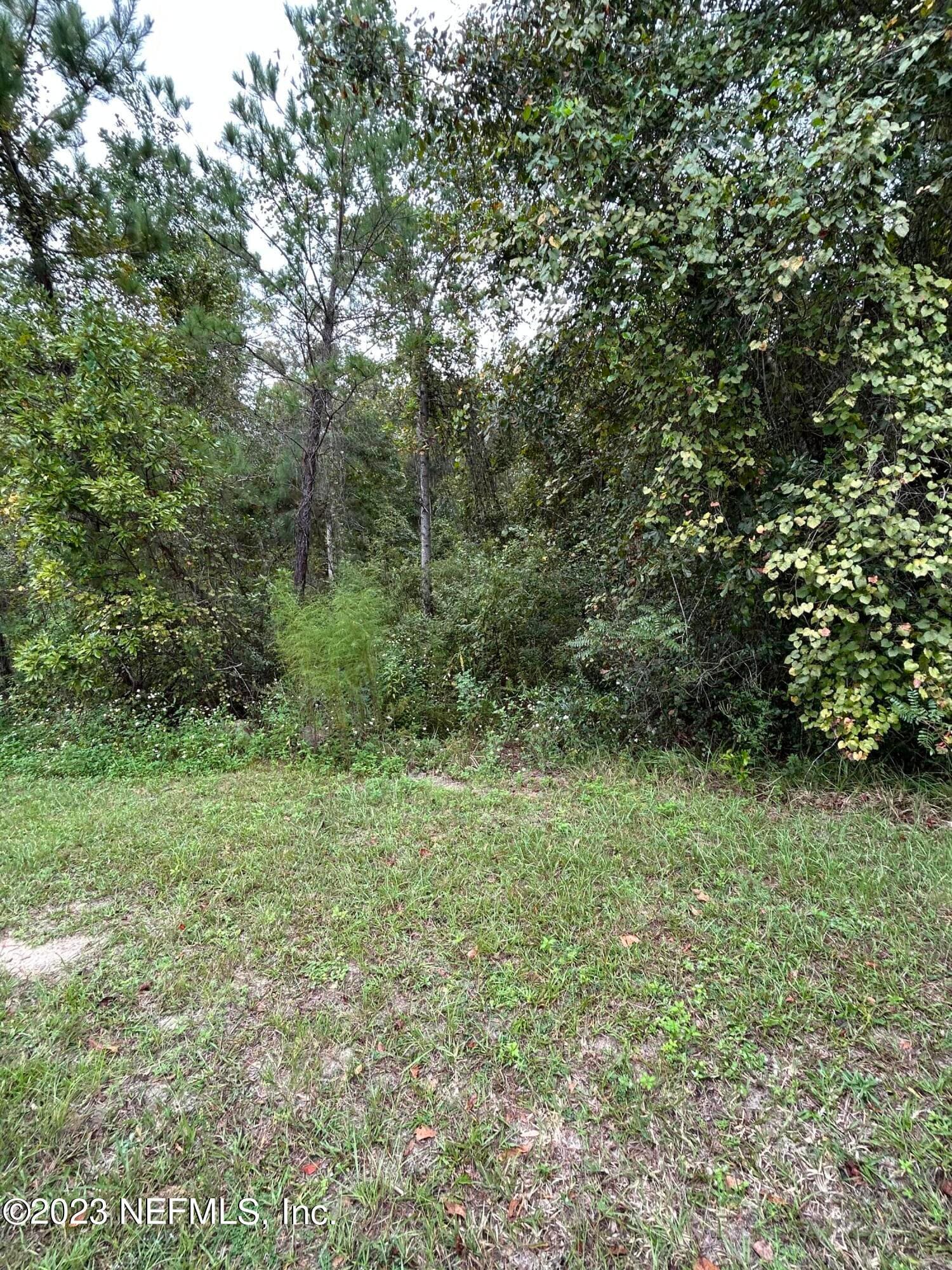 4431 TARRAGON Avenue, Middleburg, FL 32068, Middleburg — photo 3