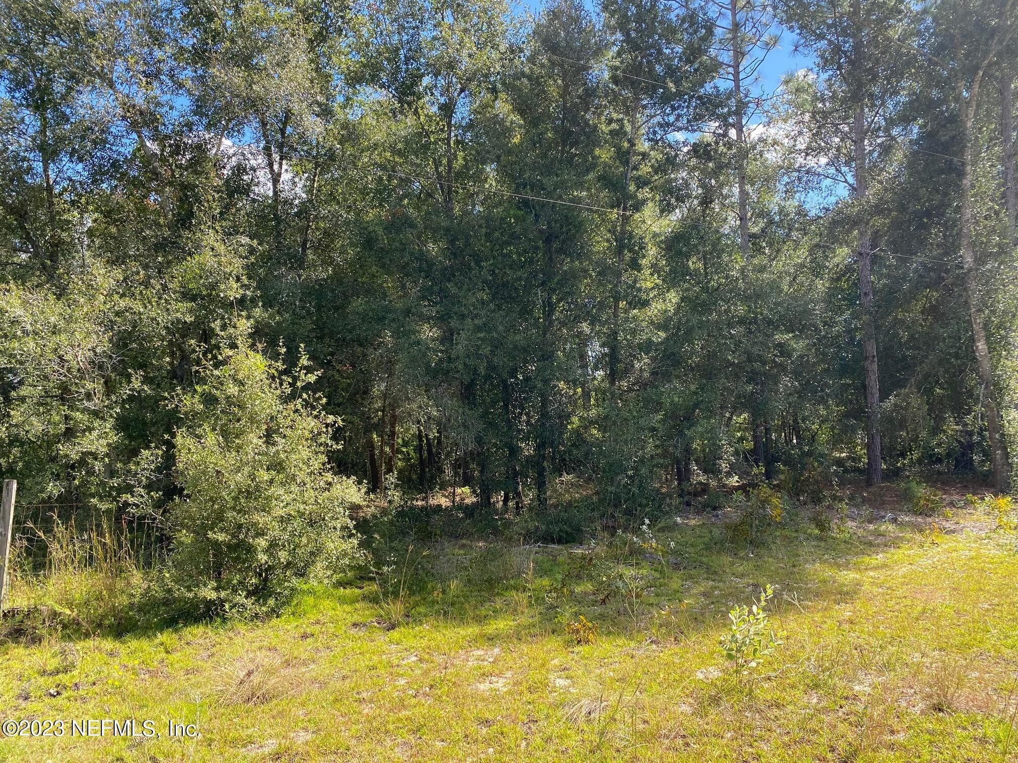 X9X TASBY Street, Interlachen, FL 32148, Interlachen — photo 2