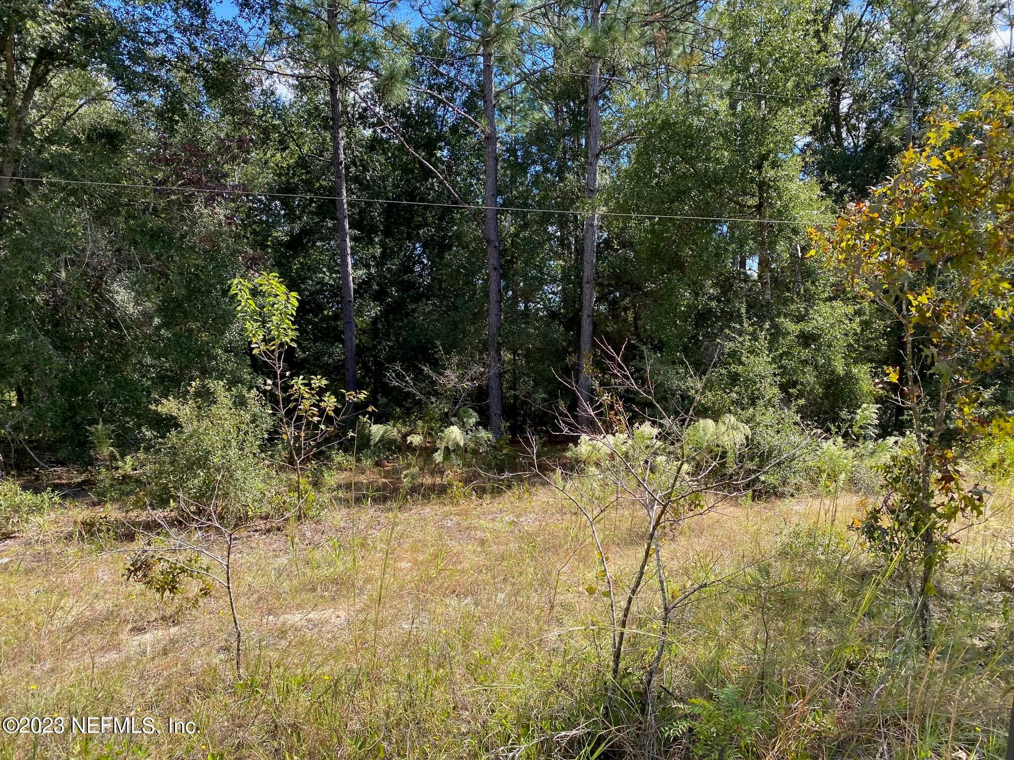 X9X TASBY Street, Interlachen, FL 32148, Interlachen — photo 3