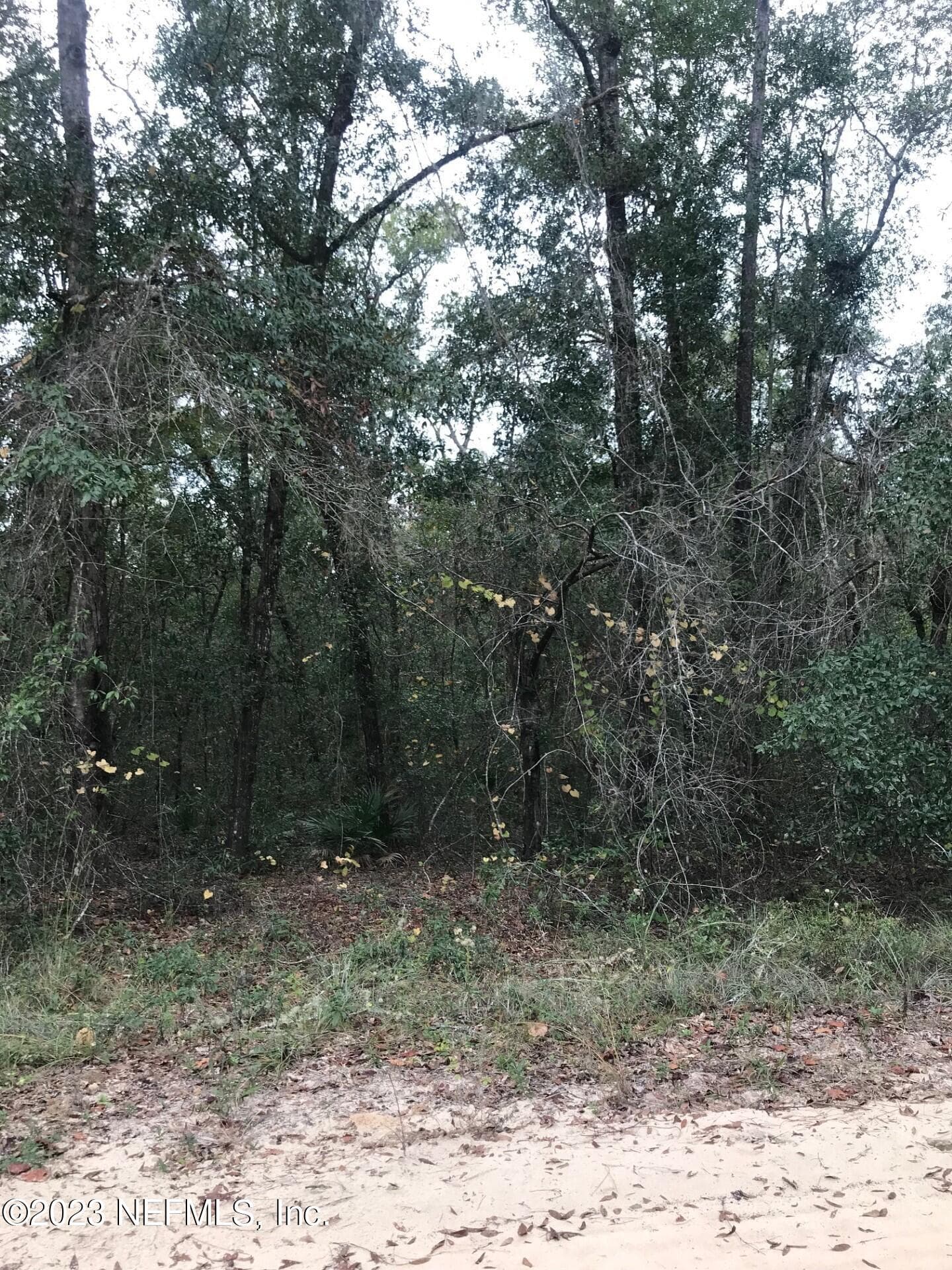 LOT 27 BRETT Avenue, Interlachen — photo 2