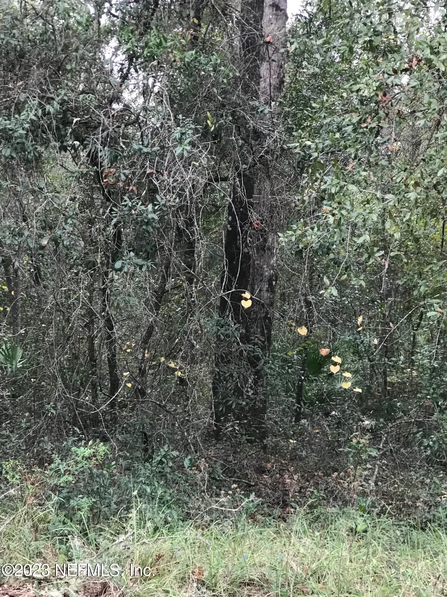 LOT 27 BRETT Avenue, Interlachen — exterior