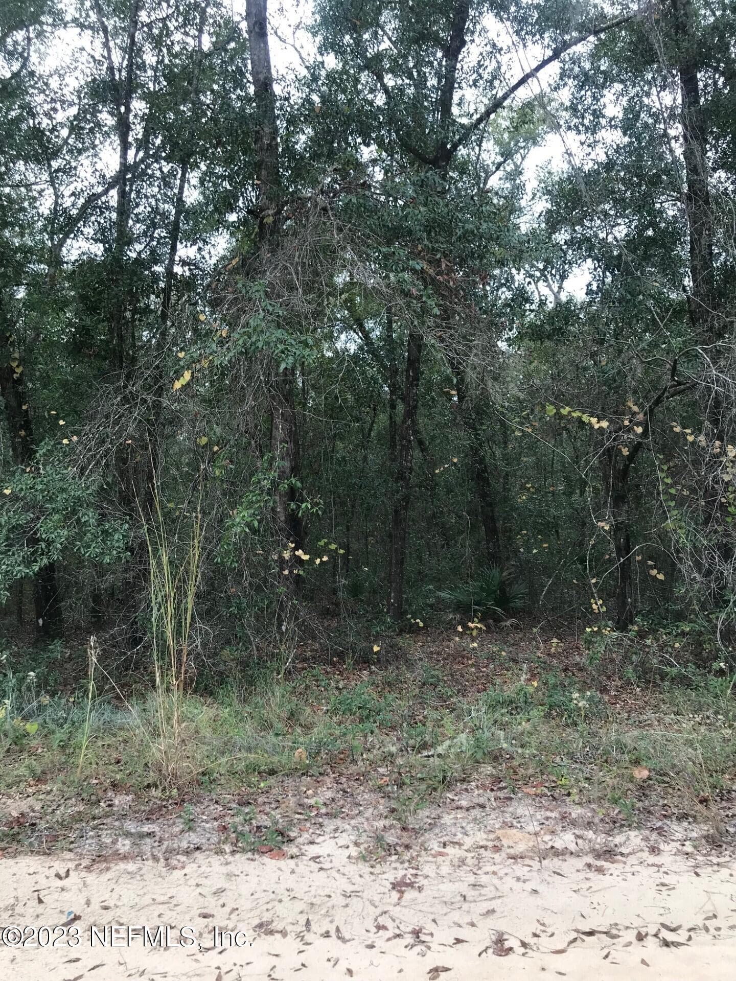 LOT 27 BRETT Avenue, Interlachen — photo 3