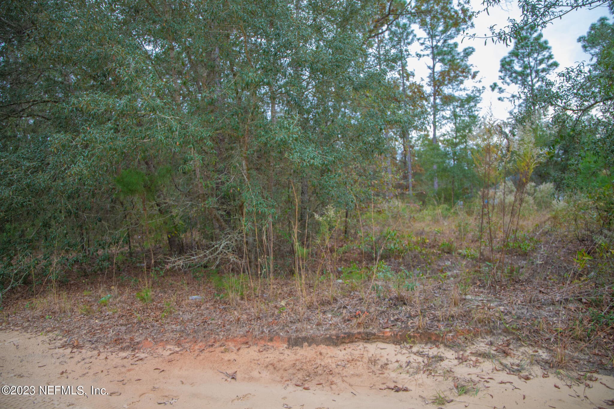 6099 HARVARD Avenue, Keystone Heights, FL 32656, Keystone Heights — photo 3