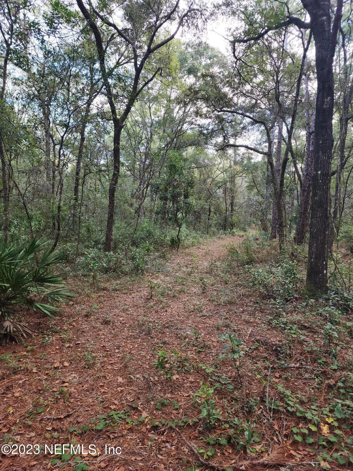 9897 NW 56TH Place, Chiefland, FL 32626, Chiefland — exterior