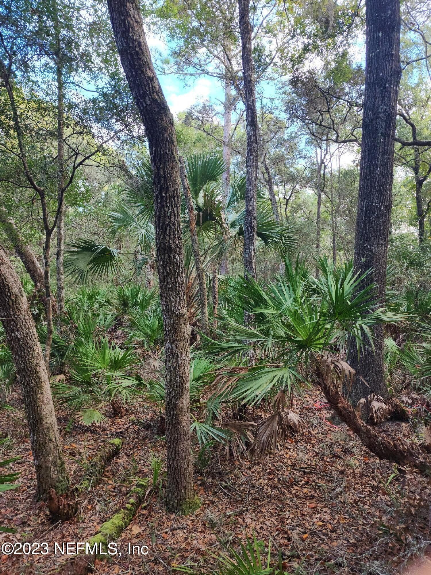 9897 NW 56TH Place, Chiefland, FL 32626, Chiefland — photo 2