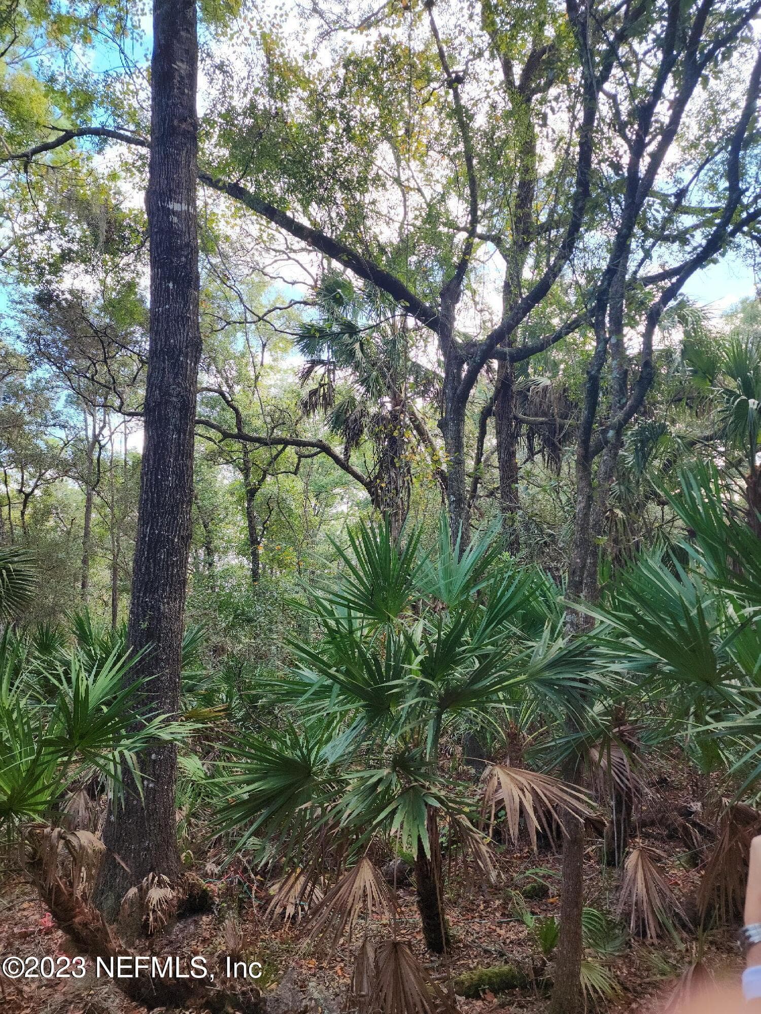 9897 NW 56TH Place, Chiefland, FL 32626, Chiefland — photo 3