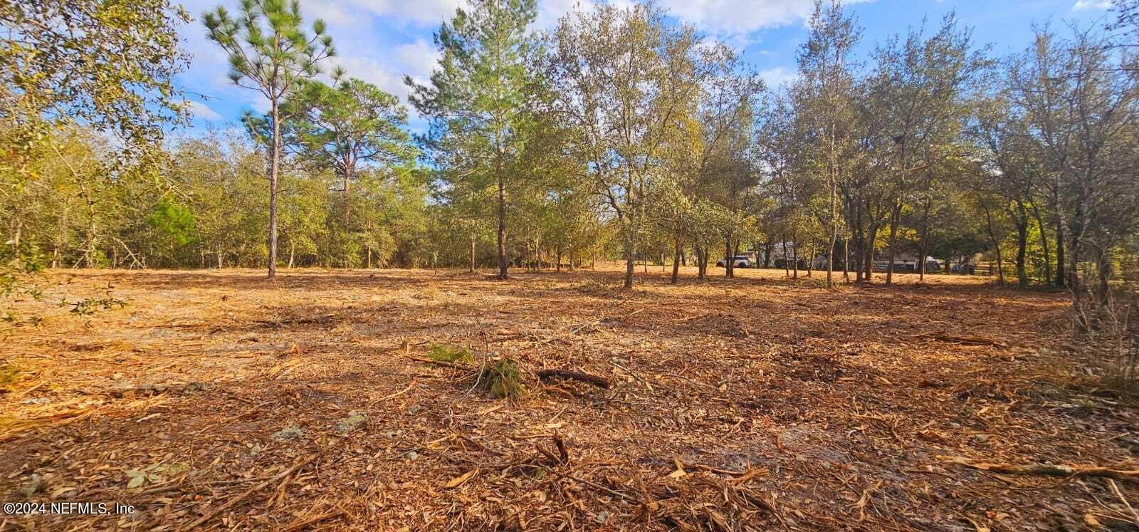 0 LILY Trail, Interlachen, FL 32148, Interlachen — photo 2
