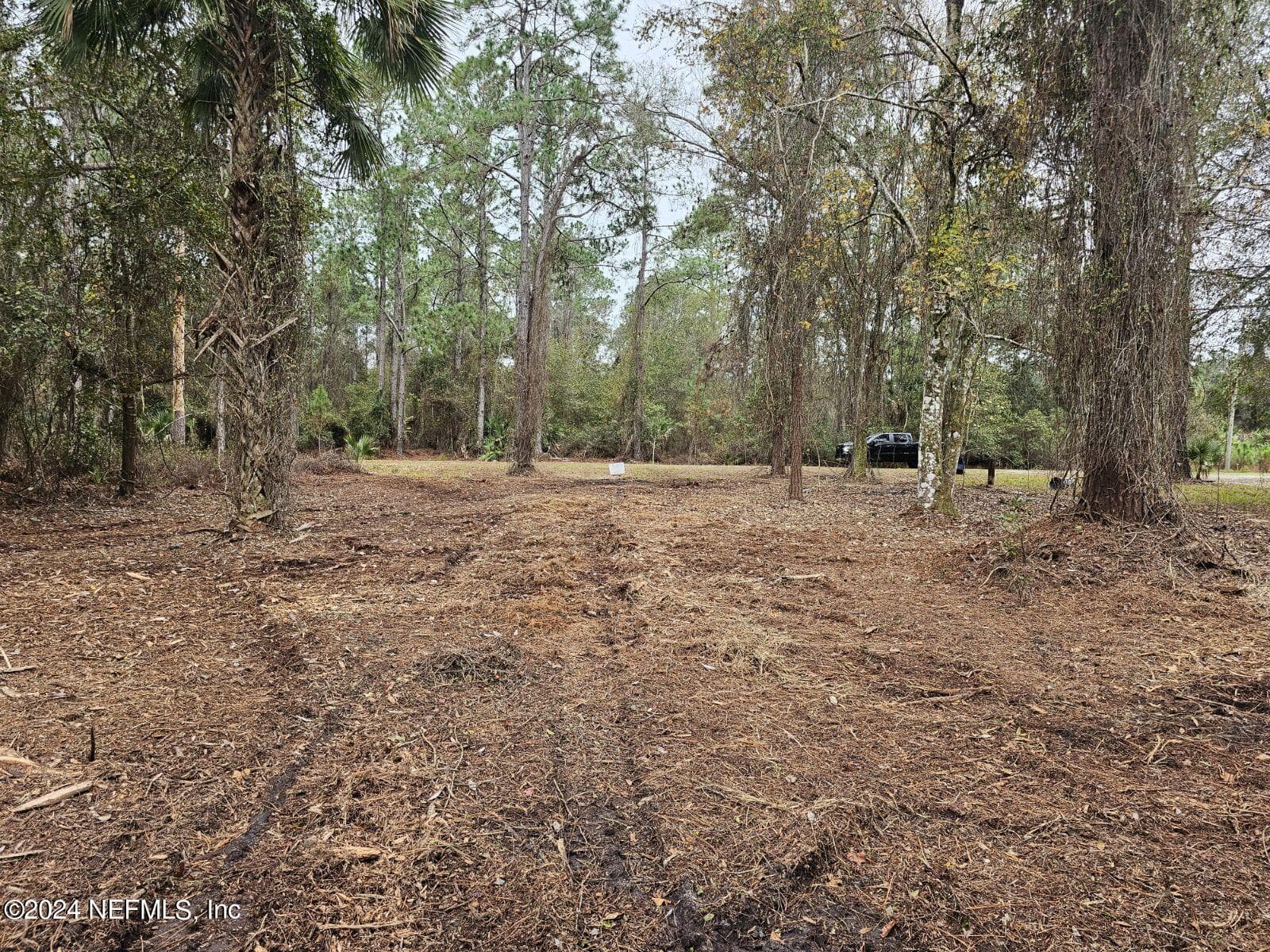 534 PALM Way, Georgetown, FL 32139, Georgetown — photo 3