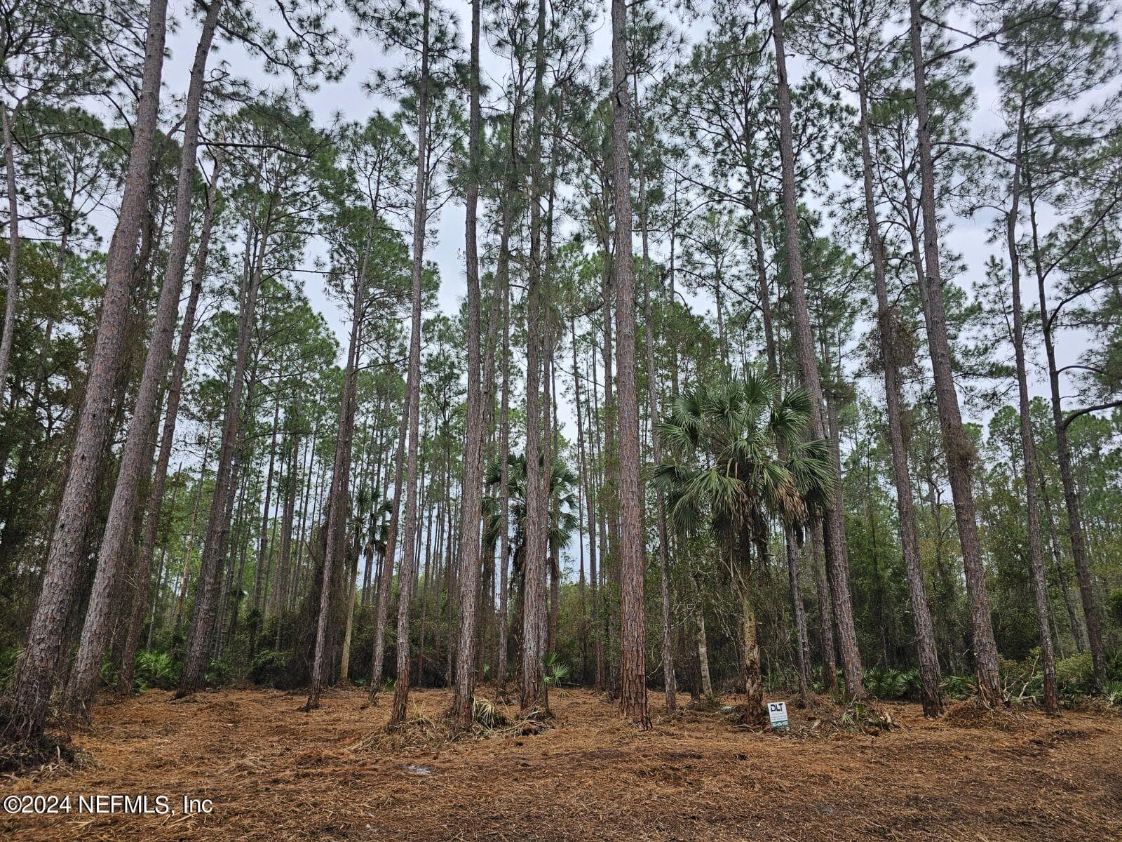 211 4TH Street, Georgetown, FL 32139, Georgetown — photo 2