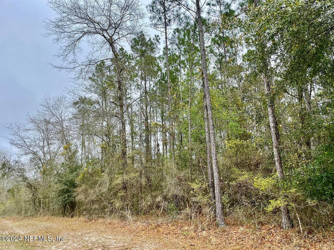 15436 BULLOCK BLUFF Road, Bryceville, FL 32009, Bryceville — photo 3