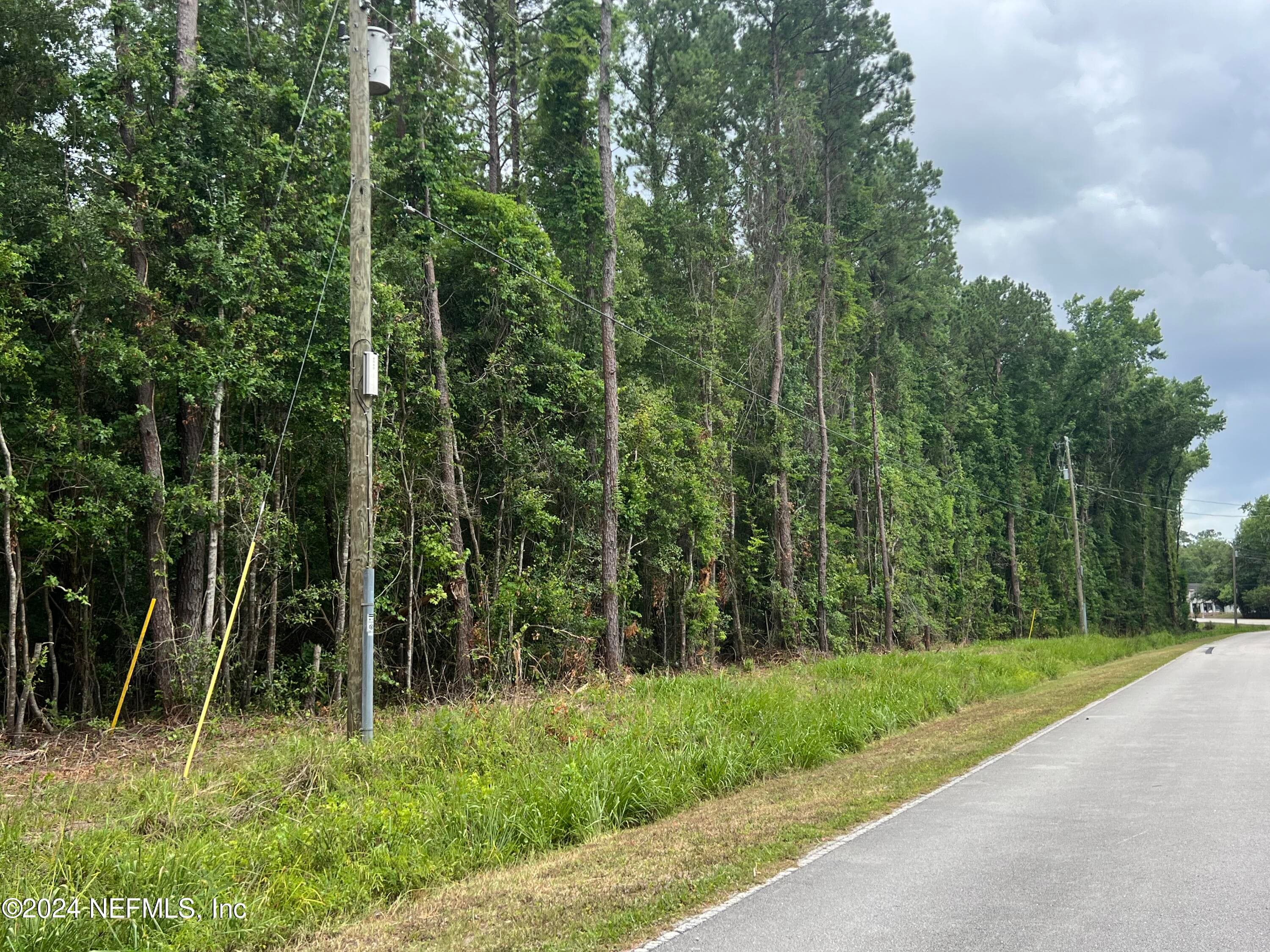 0 LAZY ACRES Road, Middleburg, FL 32068, Middleburg — photo 2
