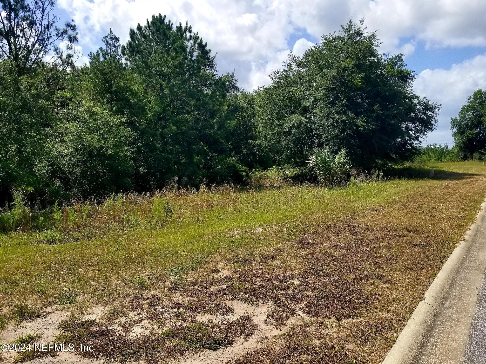 108 SIESTA Circle, Welaka, FL 32193, Welaka — photo 3