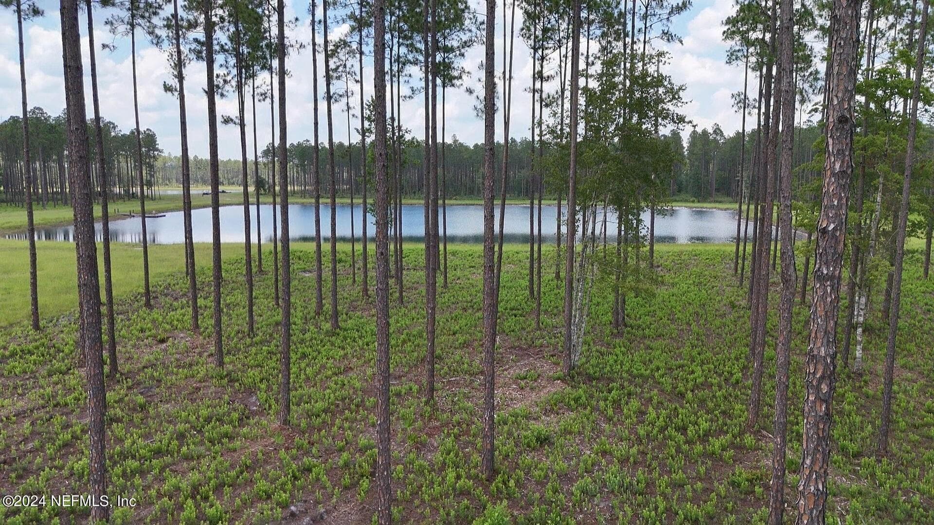 LOT 3 US HWY 301, Bryceville, FL 32009, Bryceville — photo 3