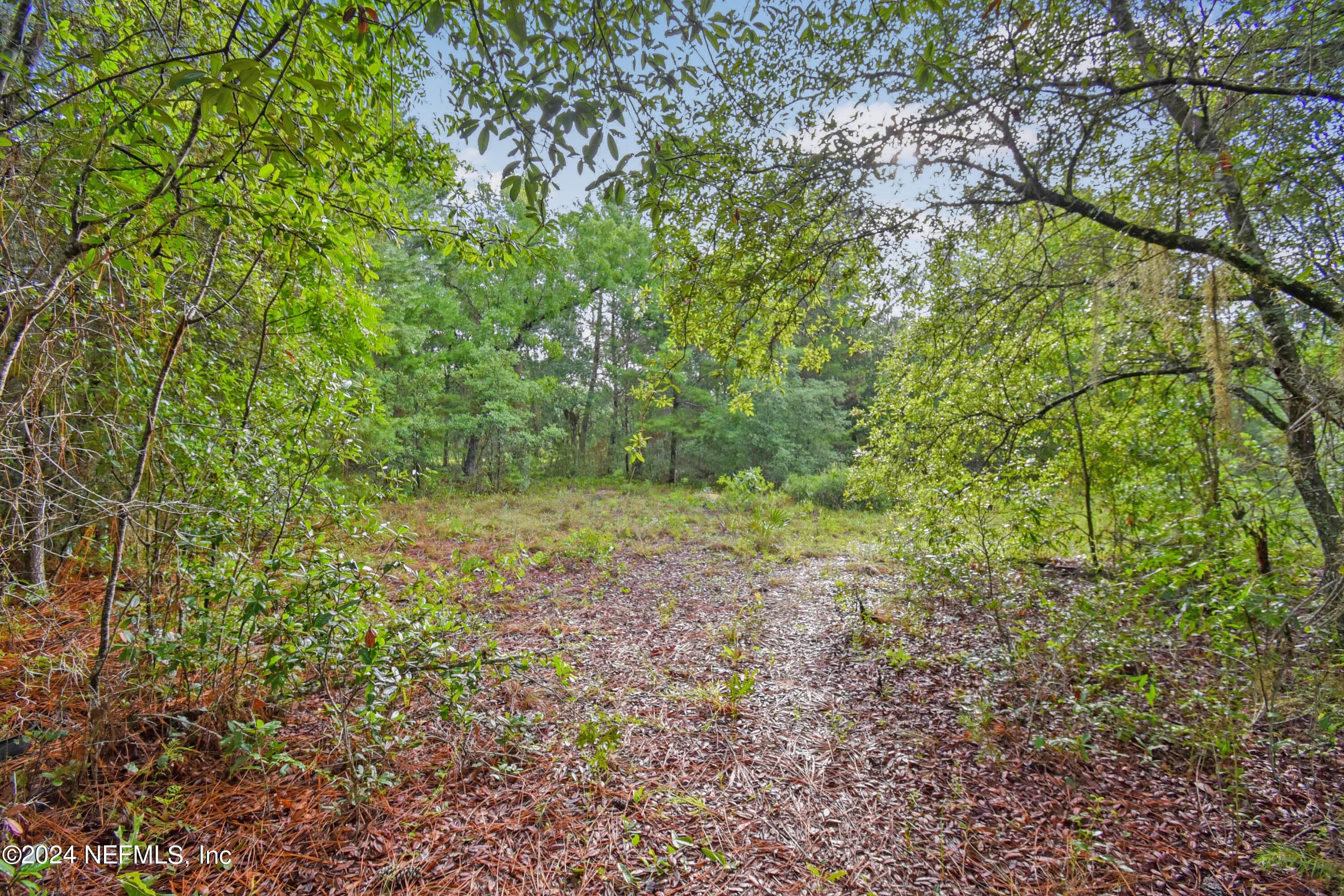 132 KENNEDY Avenue, Interlachen, FL 32148, Interlachen — exterior