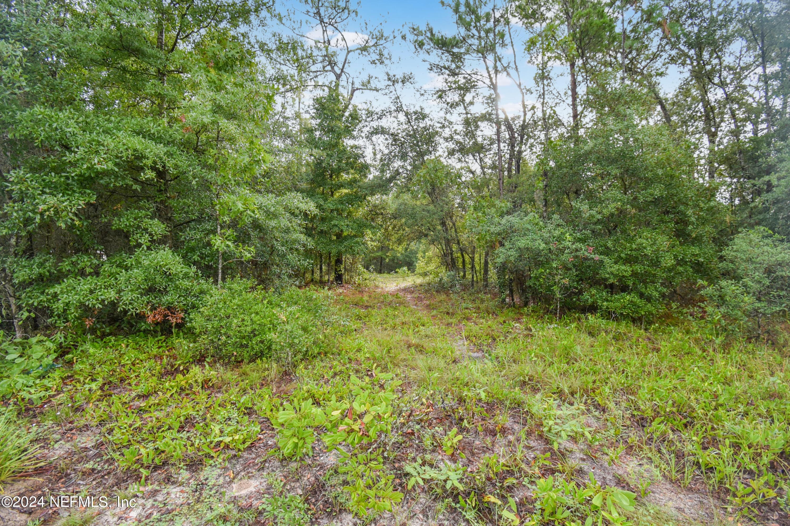 132 KENNEDY Avenue, Interlachen, FL 32148, Interlachen — photo 2