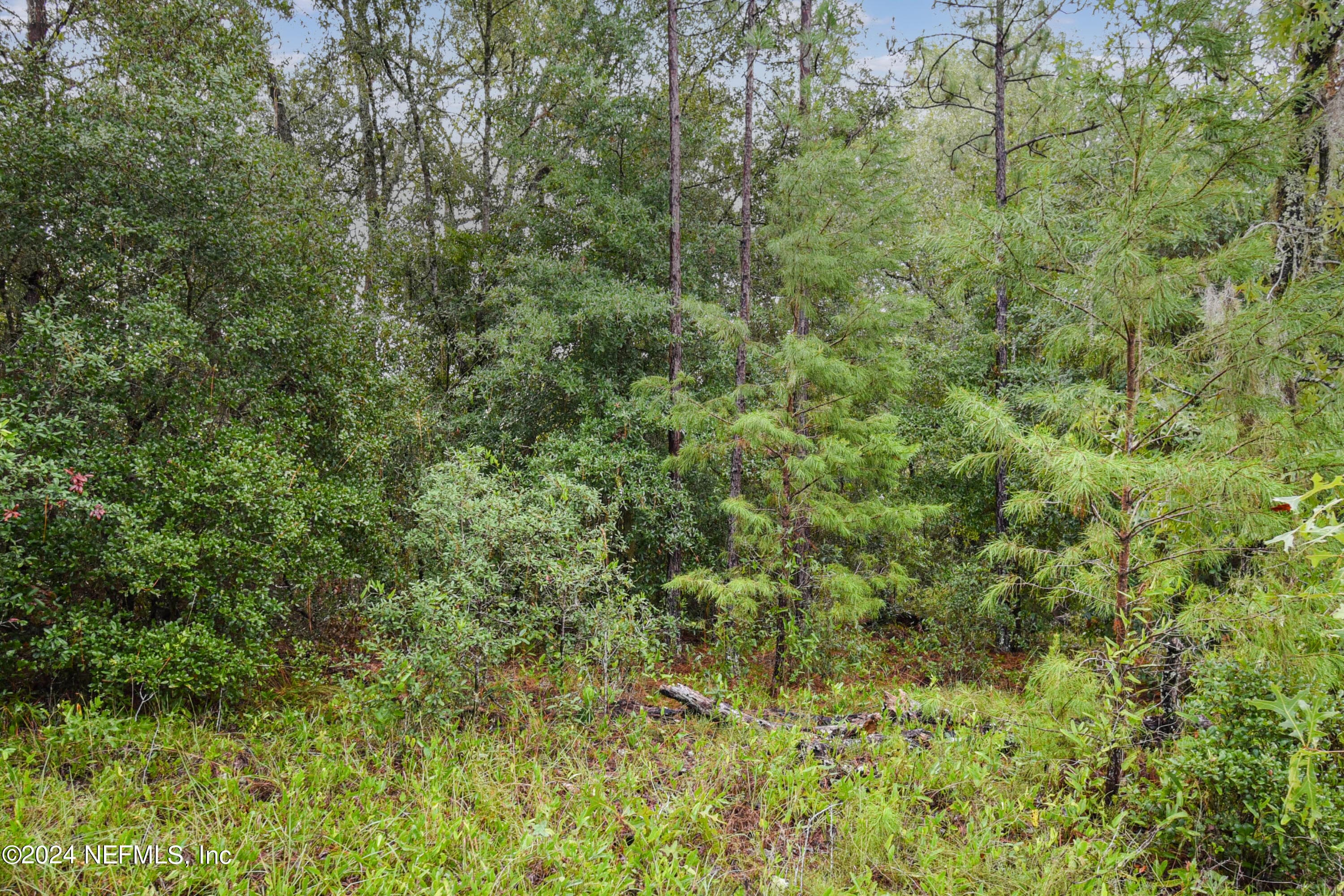 132 KENNEDY Avenue, Interlachen, FL 32148, Interlachen — photo 3