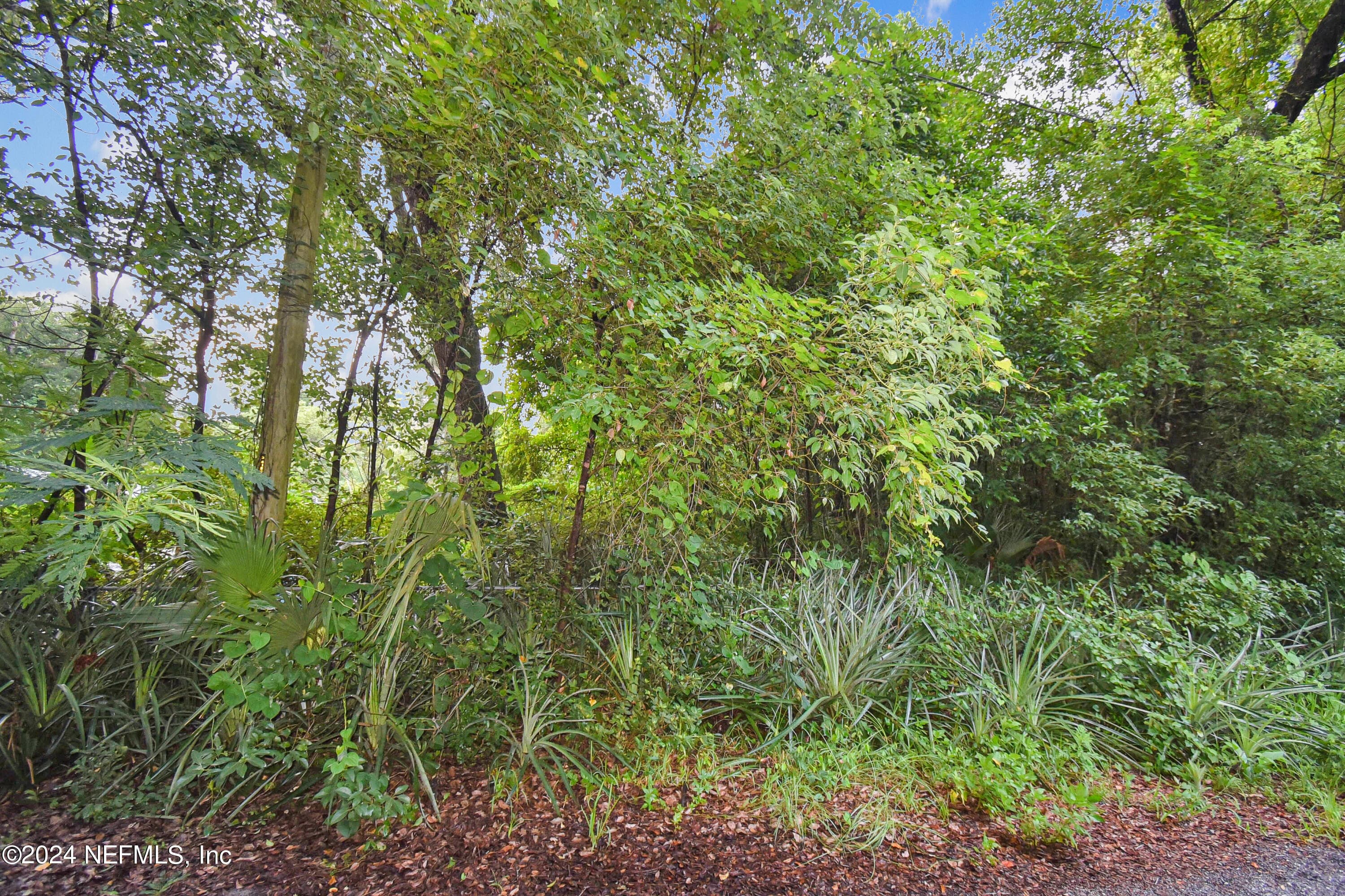 117 B Street, Pomona Park, FL 32181, Pomona Park — photo 2