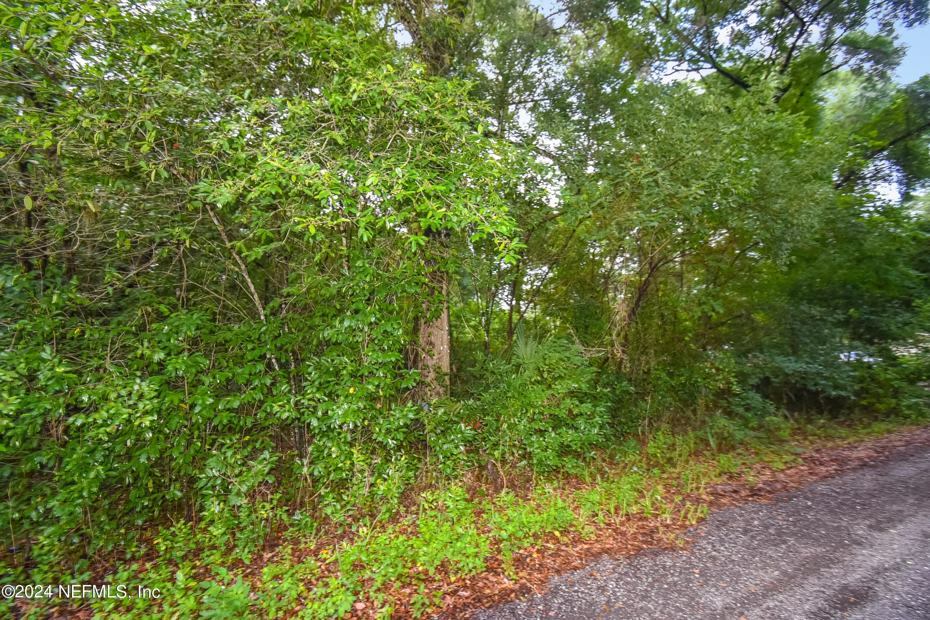 117 B Street, Pomona Park, FL 32181, Pomona Park — photo 3