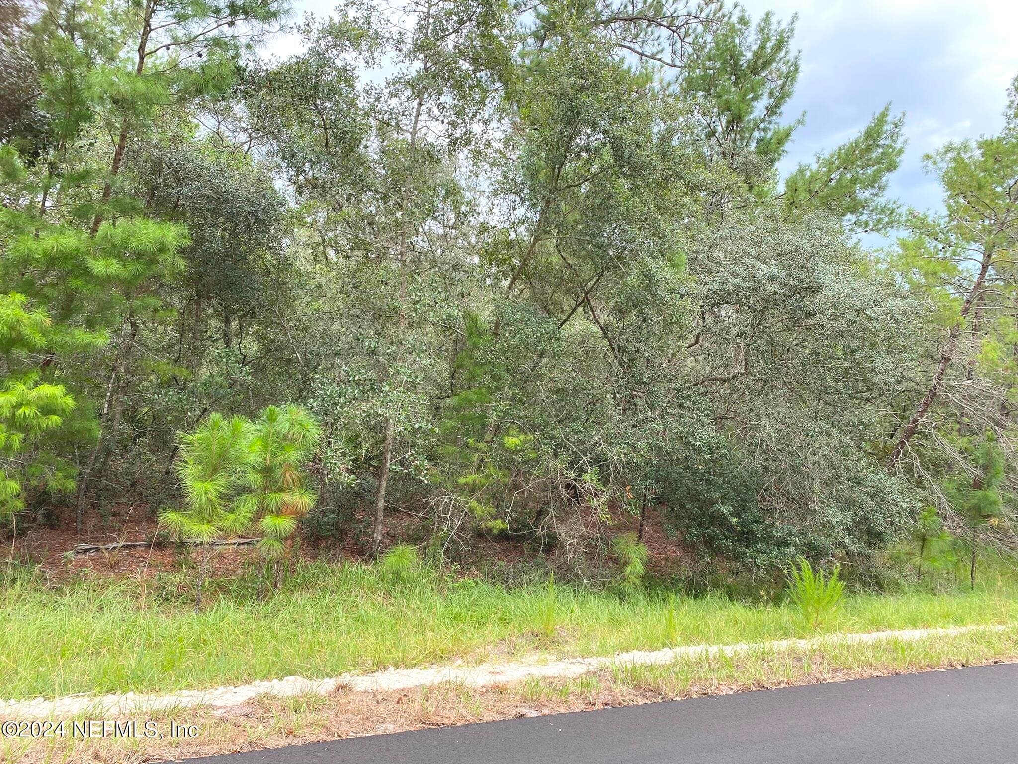118 SPANISH Trail, Georgetown, FL 32139, Georgetown — photo 2