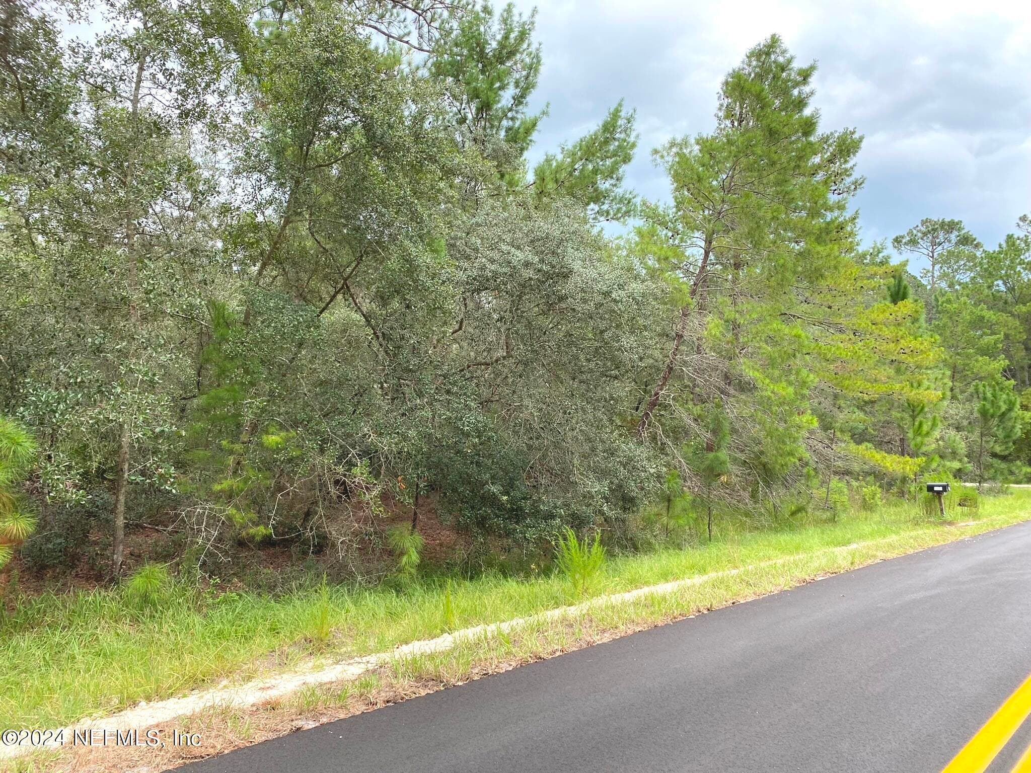 118 SPANISH Trail, Georgetown, FL 32139, Georgetown — photo 3