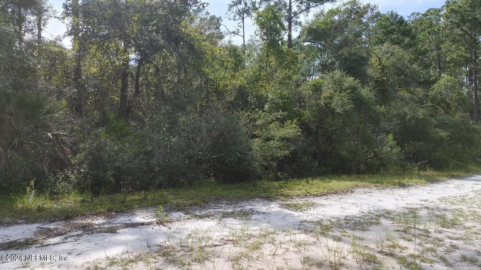 209 OCALA Court, Georgetown, FL 32139, Georgetown — exterior