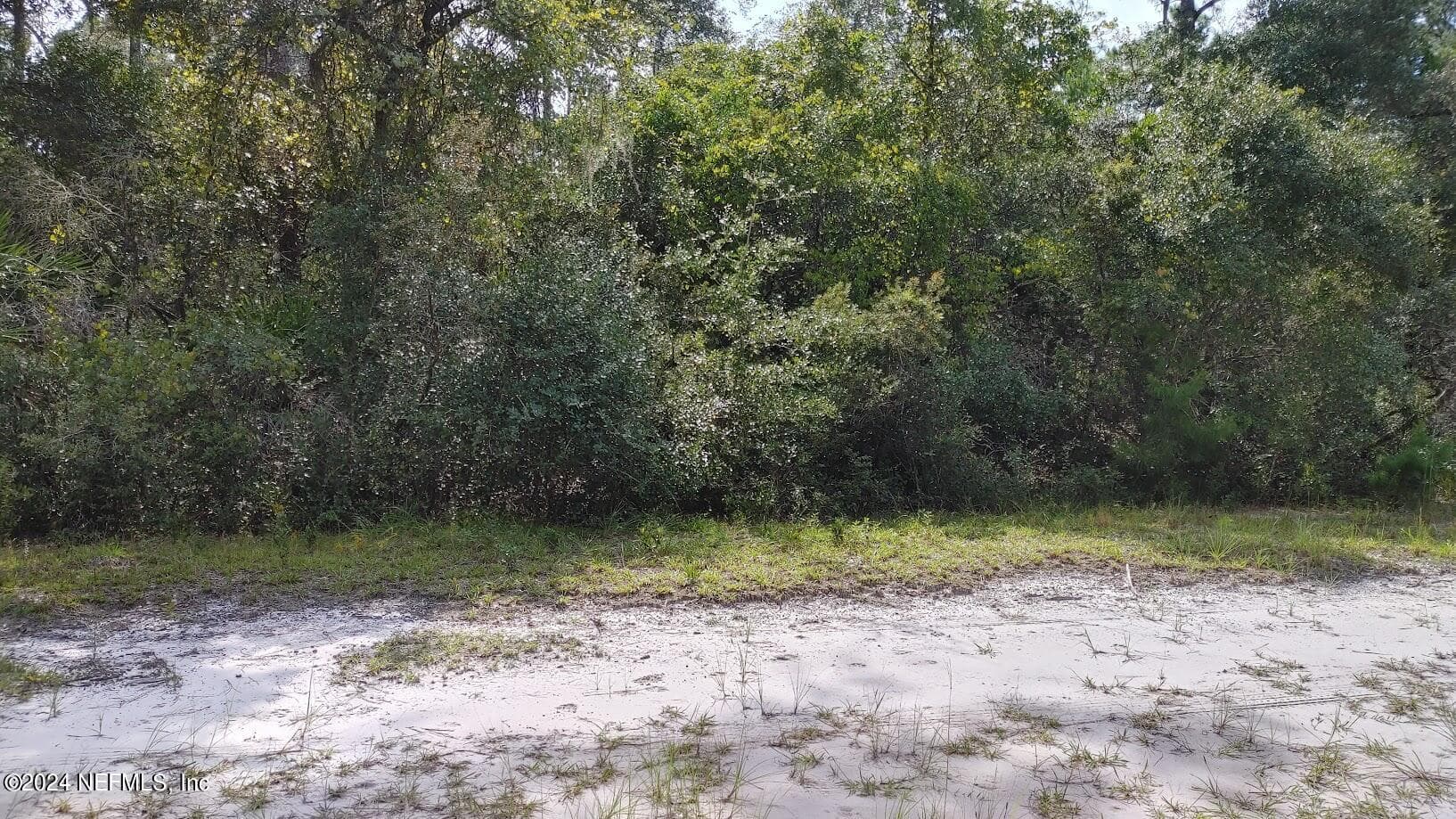 209 OCALA Court, Georgetown, FL 32139, Georgetown — photo 2