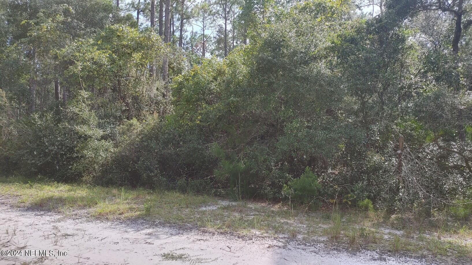 209 OCALA Court, Georgetown, FL 32139, Georgetown — photo 3