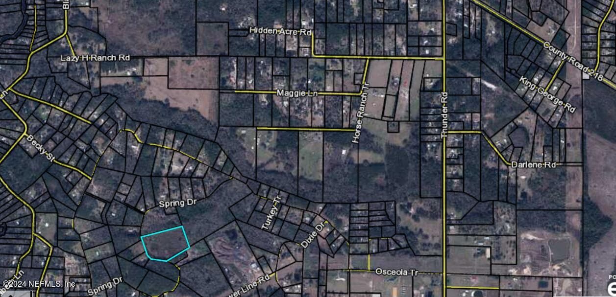 0 SPRING Drive, Middleburg, FL 32068, Middleburg — exterior