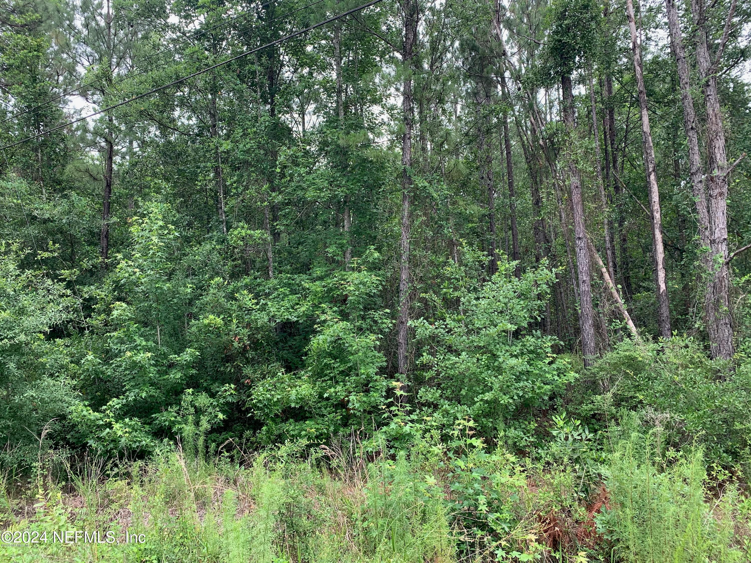 2373 BROOM Court, Middleburg, FL 32068, Middleburg — exterior
