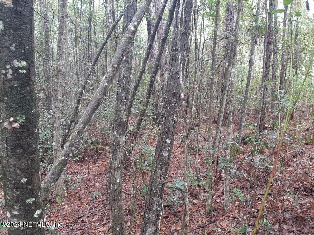 2373 BROOM Court, Middleburg, FL 32068, Middleburg — photo 3