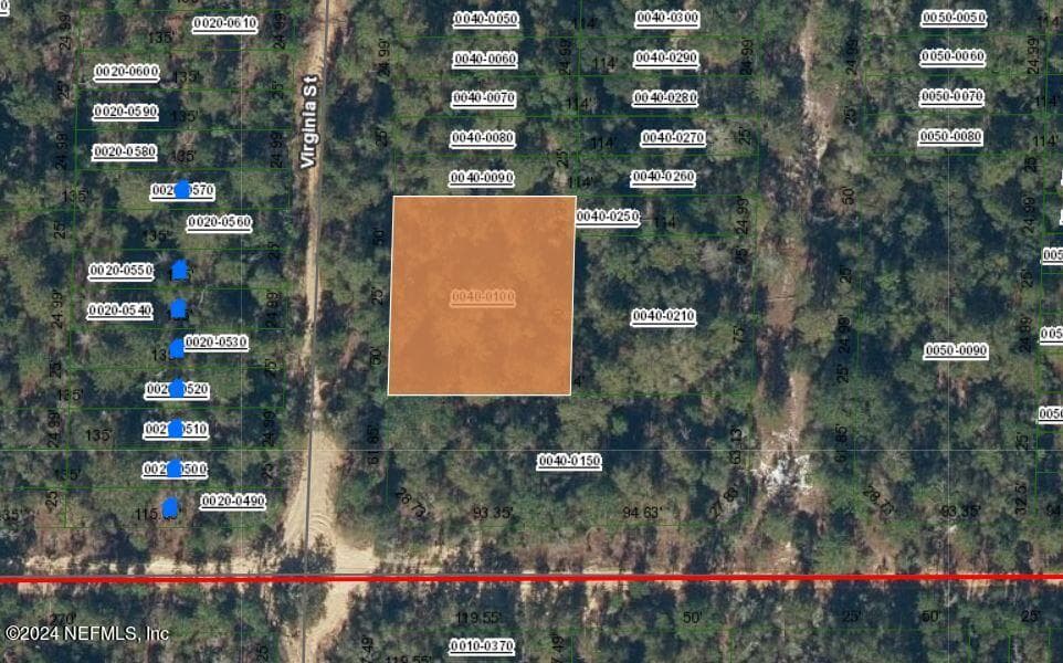 0 VIRGINIA Street, Interlachen, FL 32148, Interlachen — photo 2