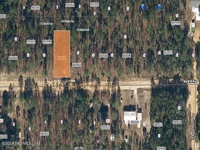 138 MADRID Avenue, Interlachen, FL 32148, Interlachen — exterior