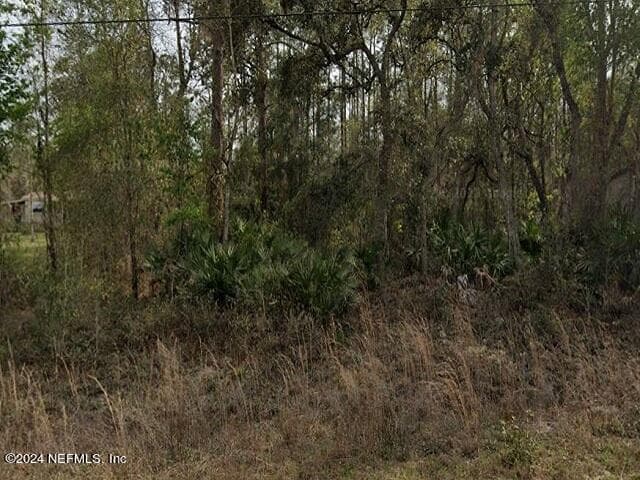 0 BRITT Street, Interlachen — exterior
